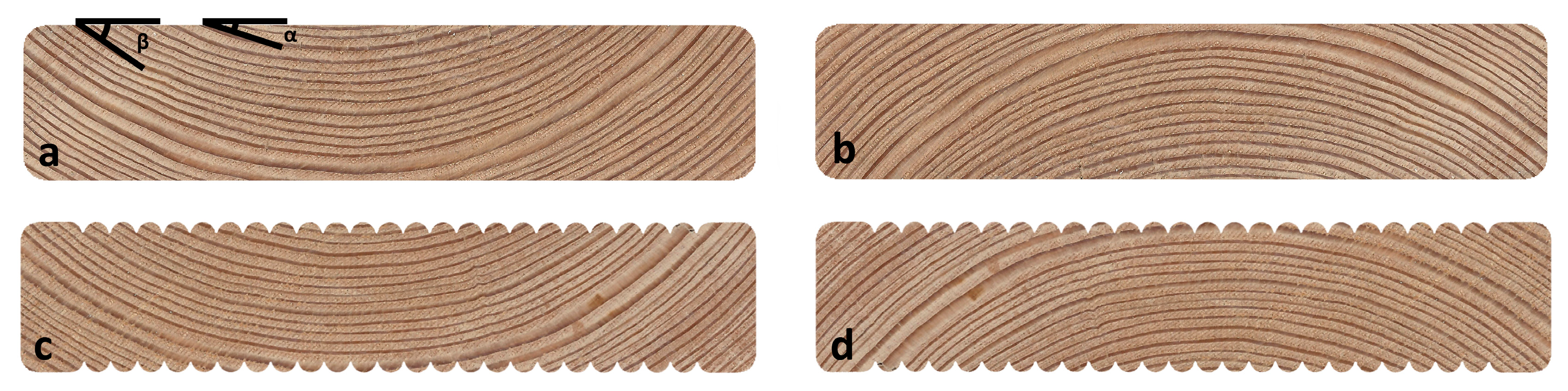 Coatings 10 00862 g001