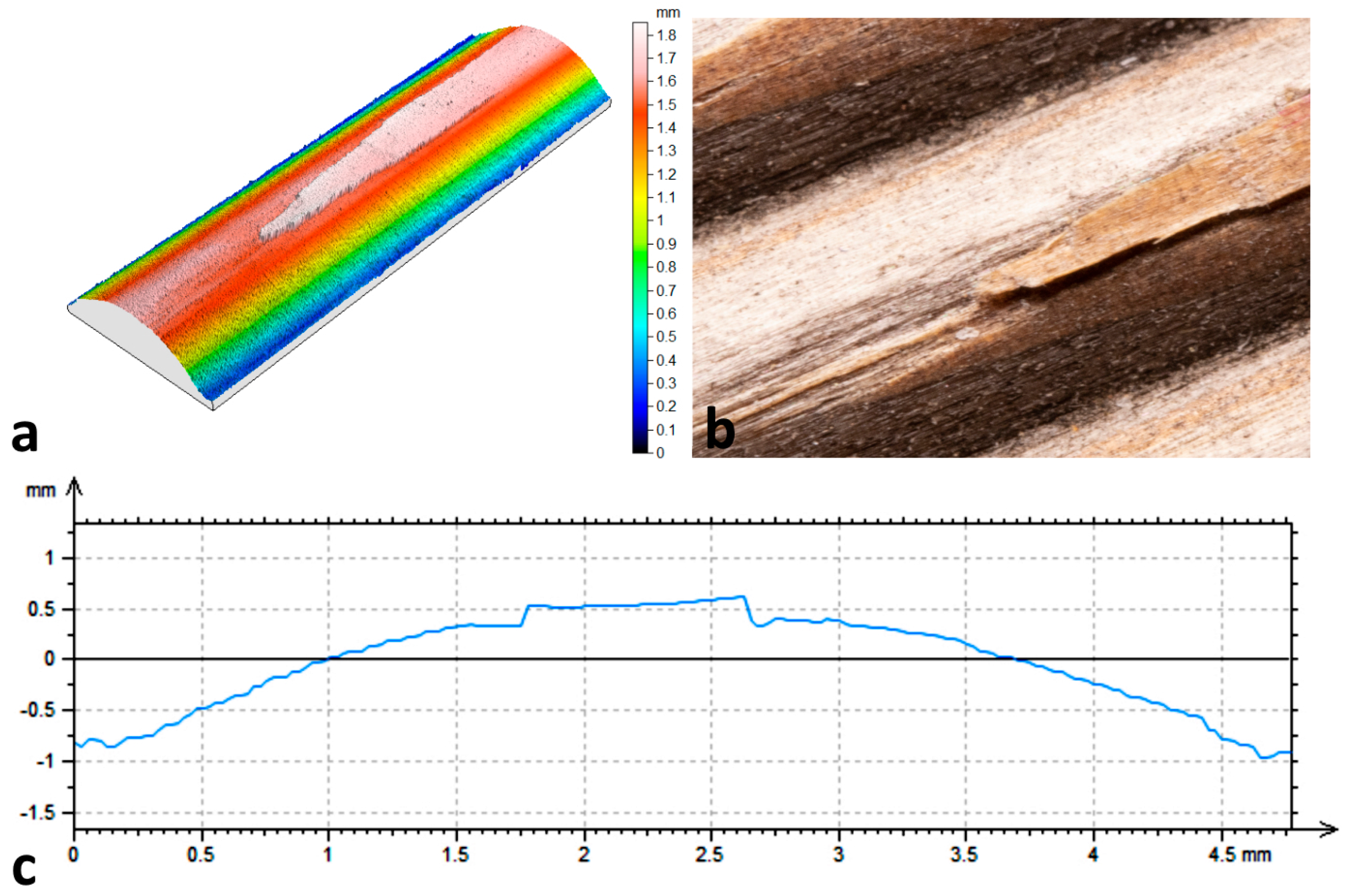 Coatings 10 00862 g007