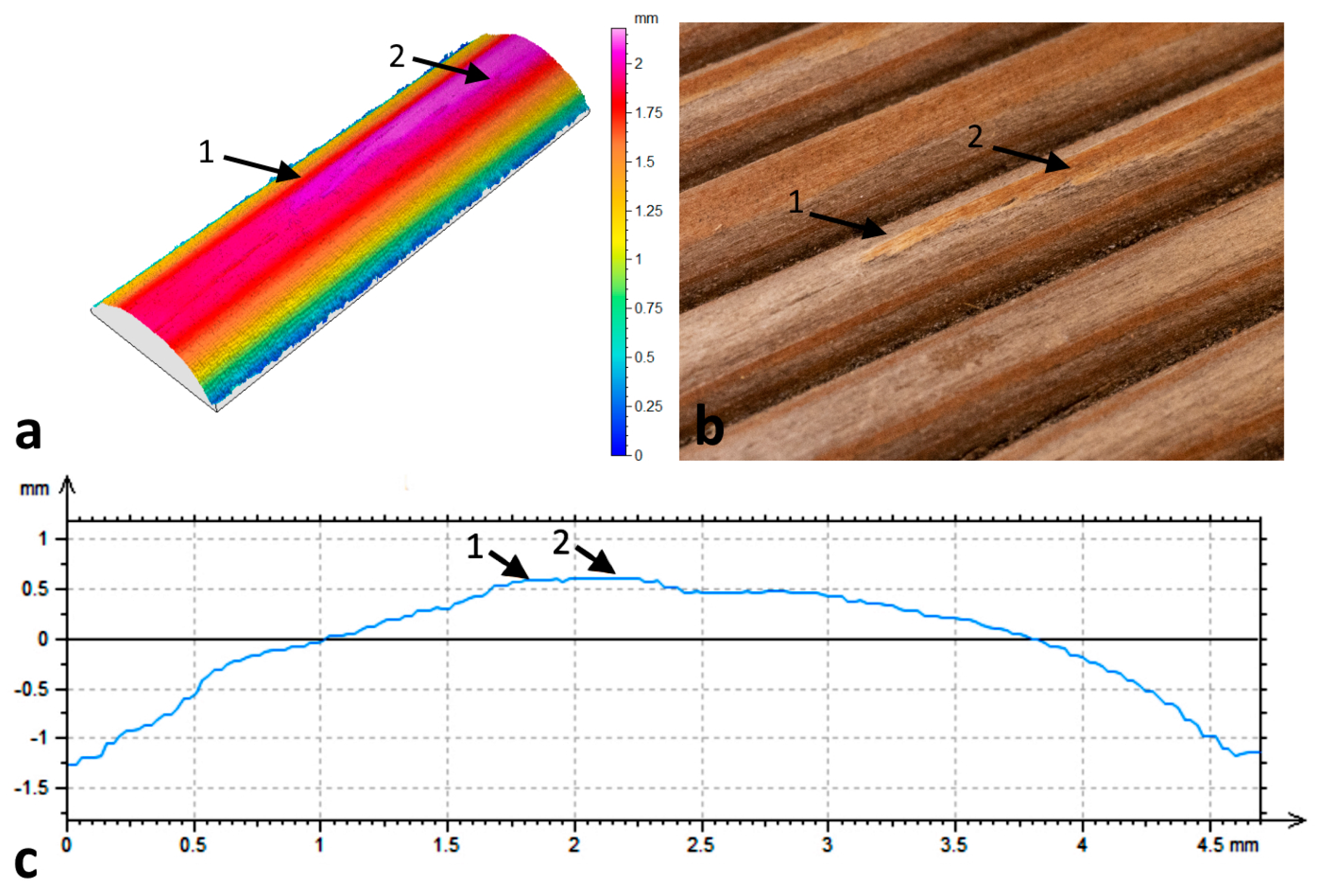 Coatings 10 00862 g008