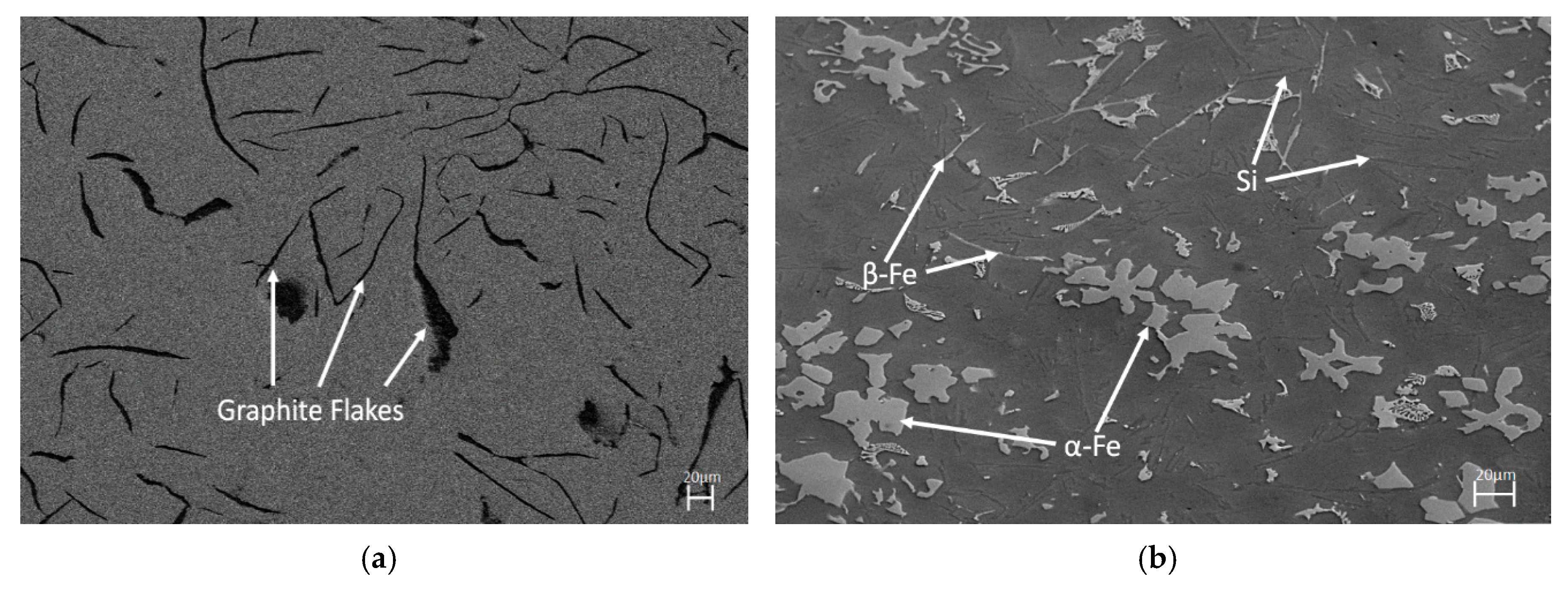 Coatings 10 00864 g002 Coatings 10 00864 g002