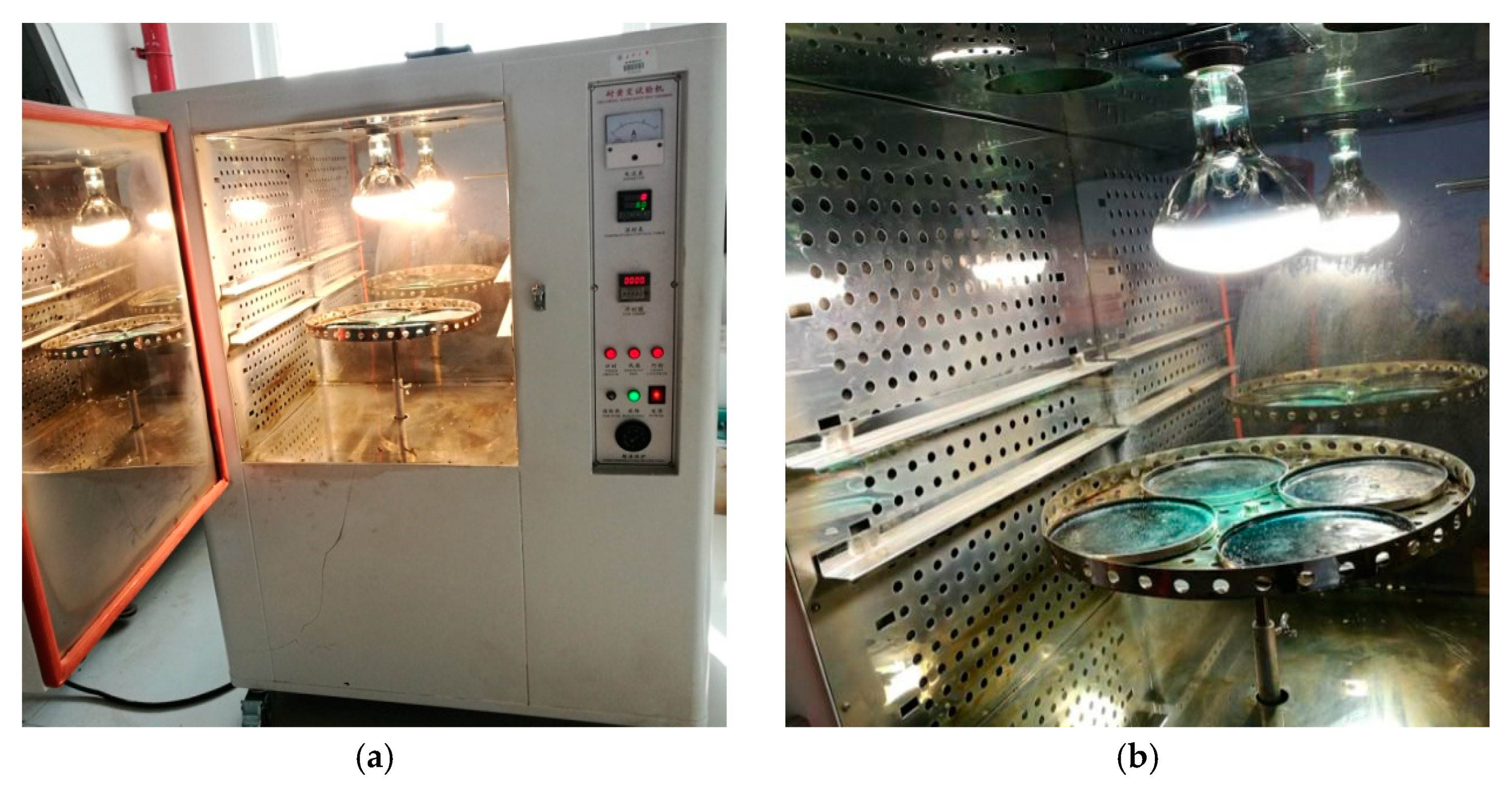 Coatings 10 00867 g006 Coatings 10 00867 g006