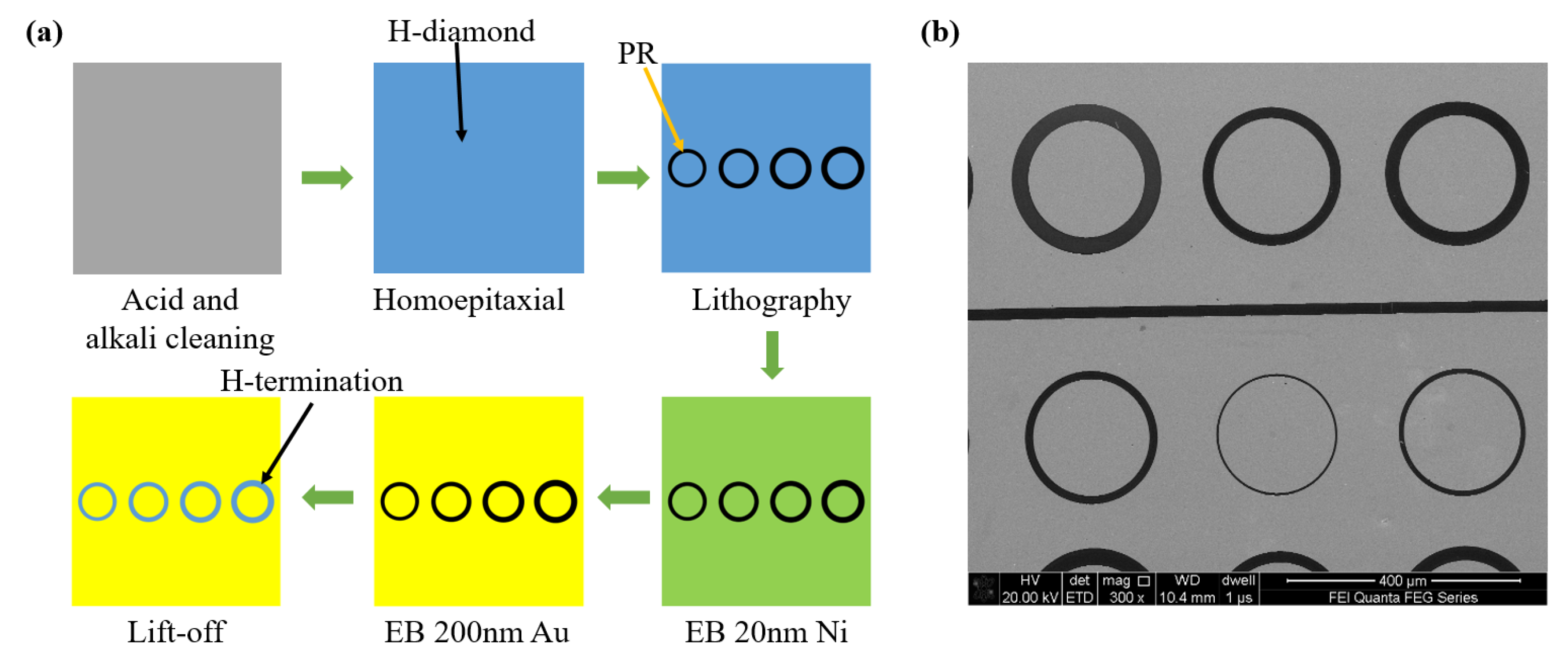 Coatings 10 00876 g001 Coatings 10 00876 g001