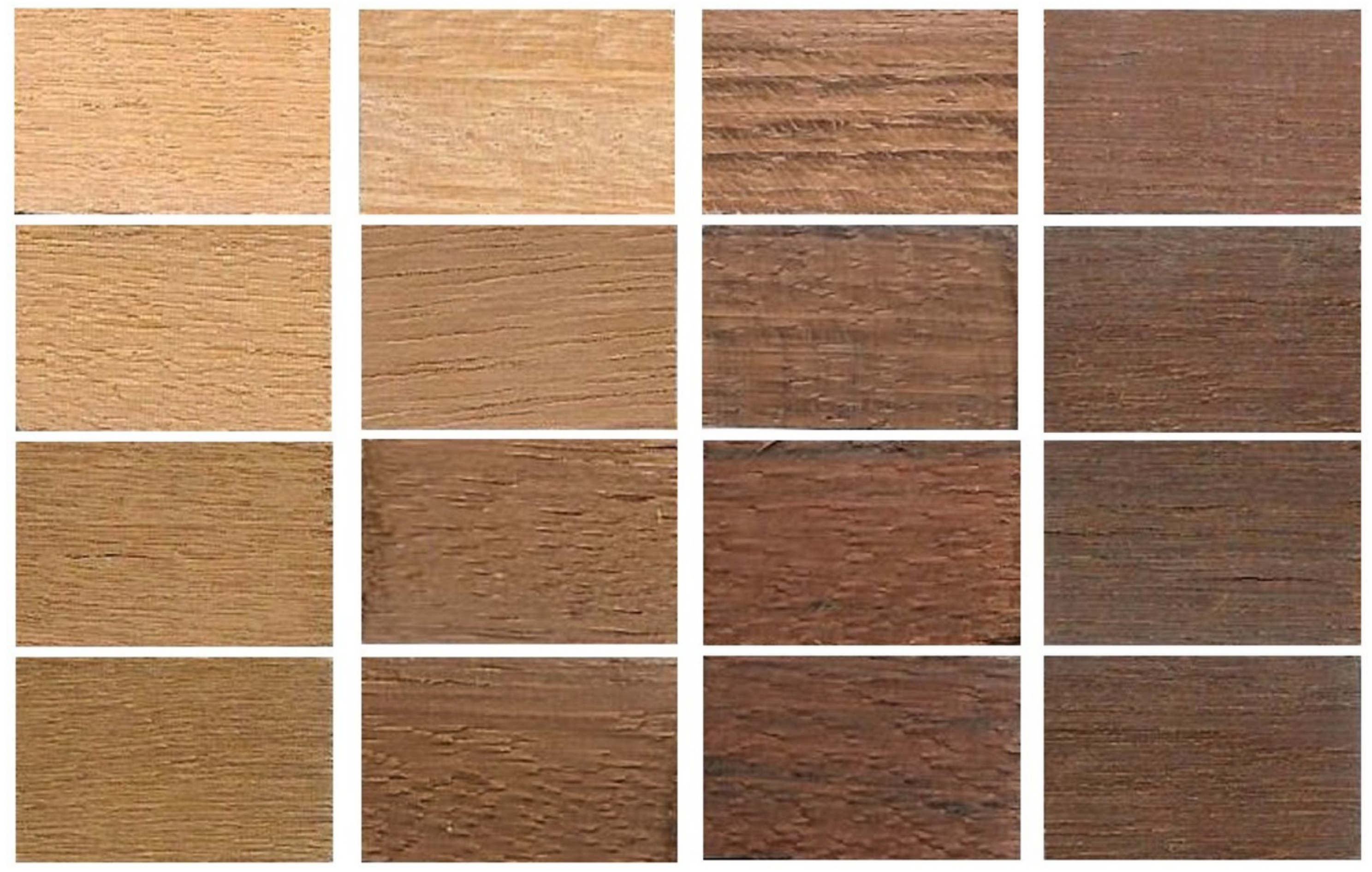 Coatings 10 00877 g001