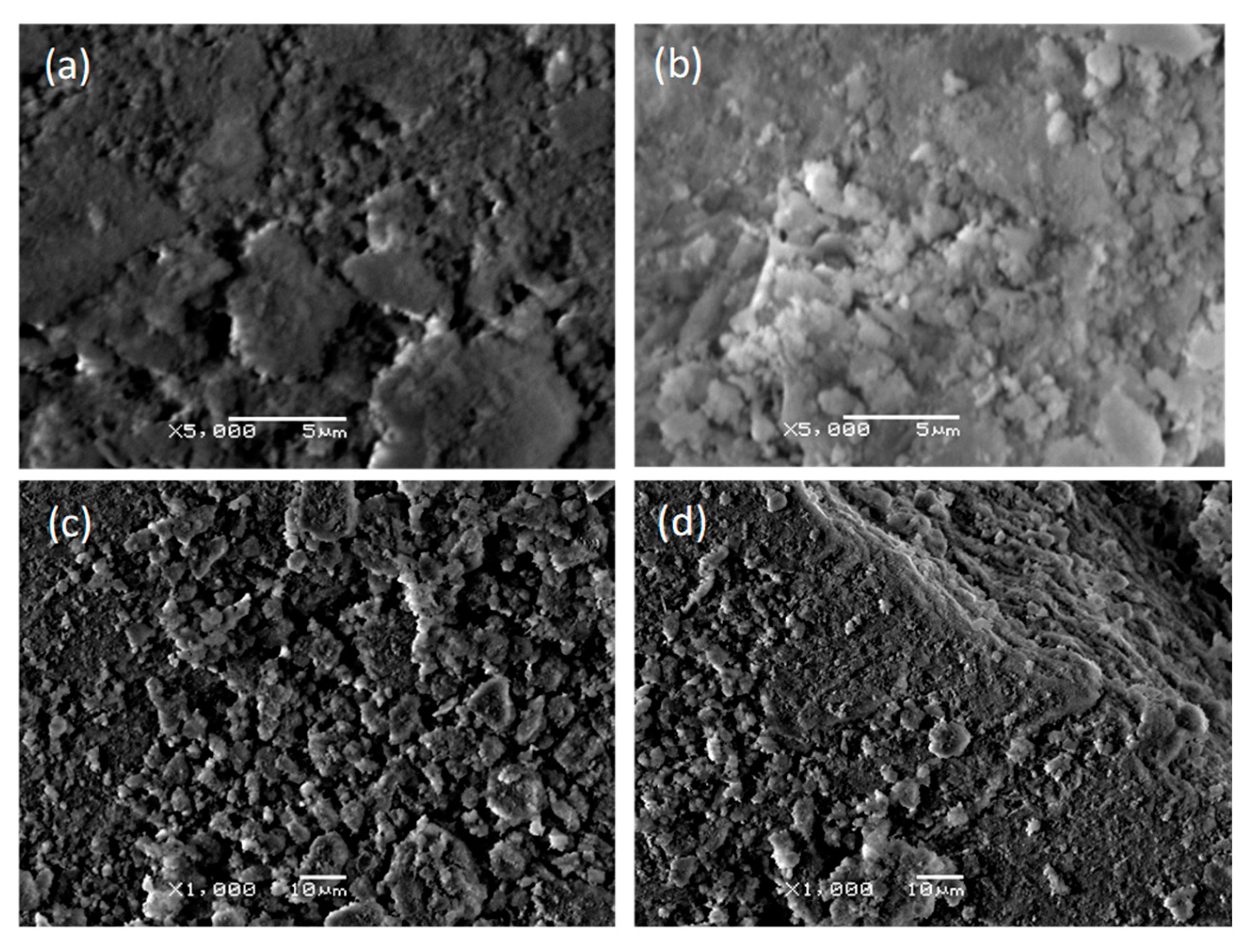 Coatings 10 00880 g004