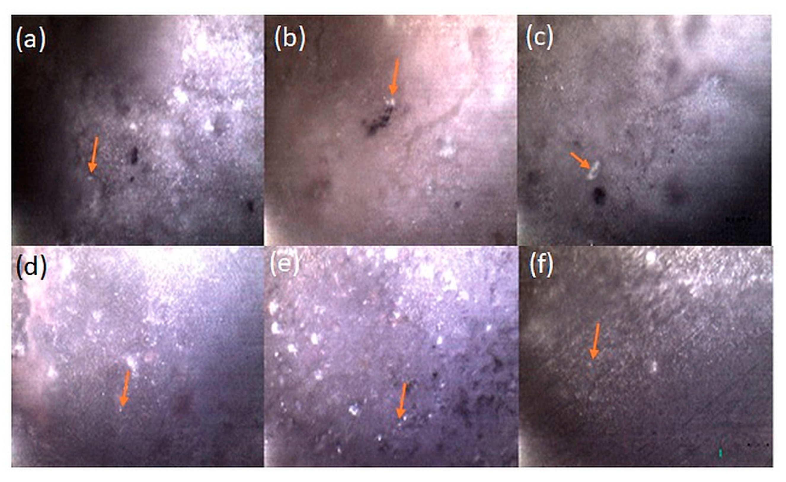 Coatings 10 00880 g005