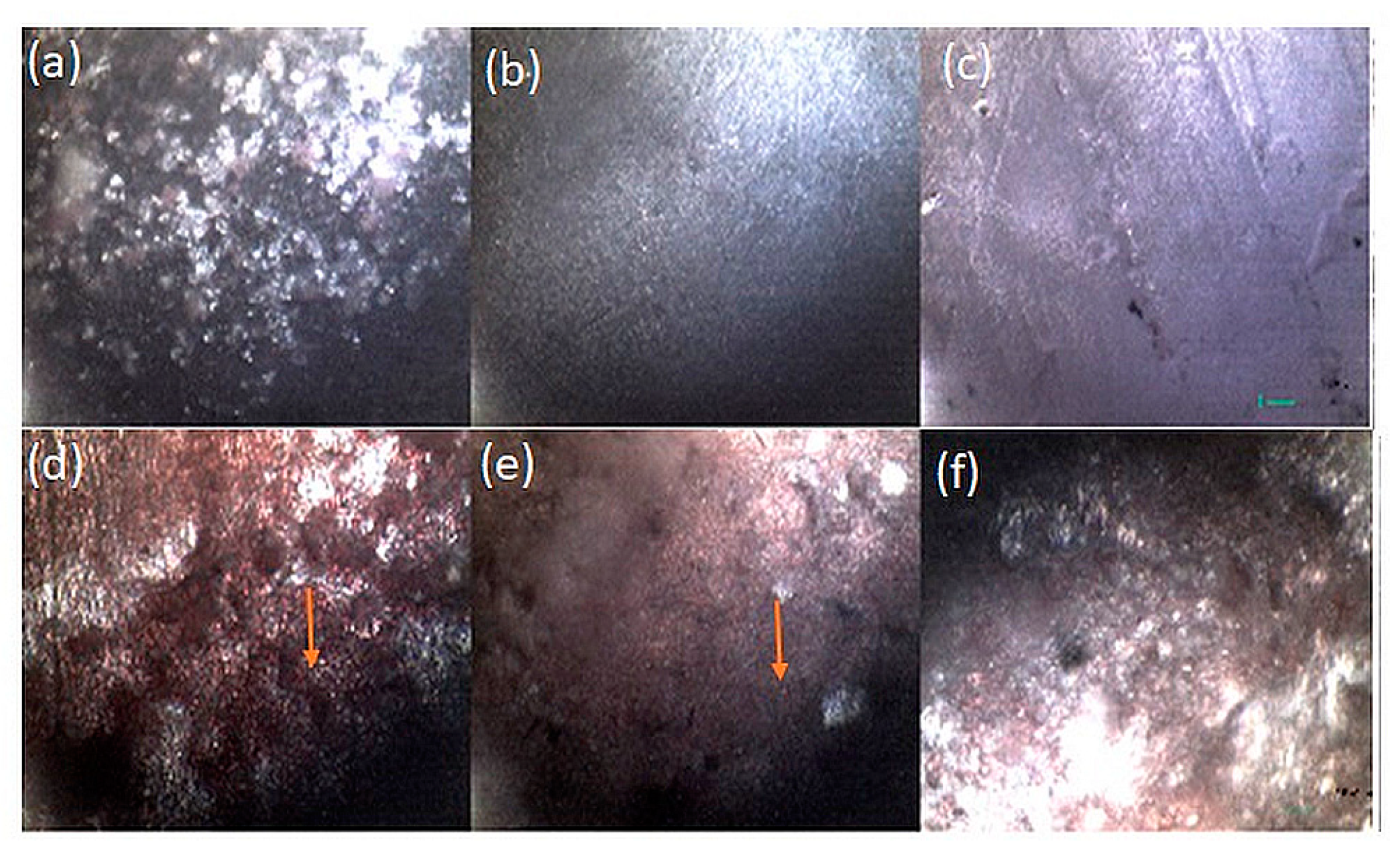 Coatings 10 00880 g007