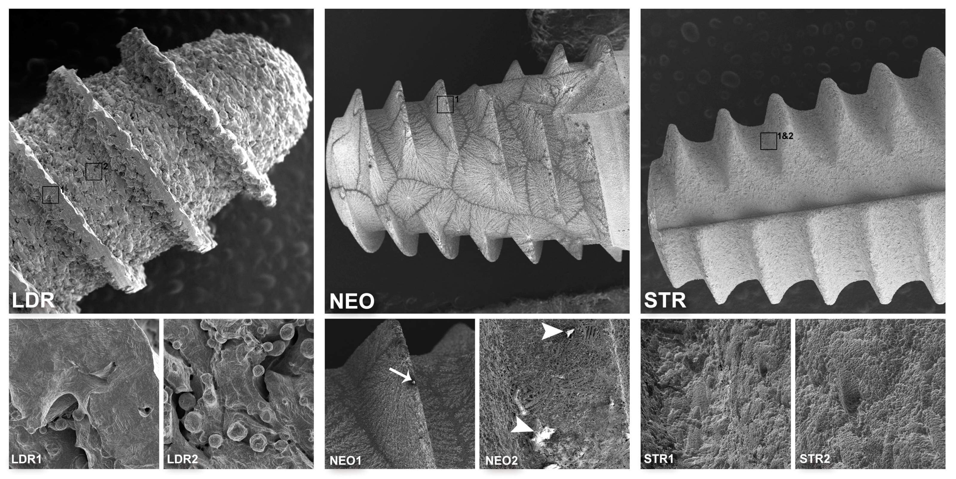 Coatings 10 00882 g002 Coatings 10 00882 g002