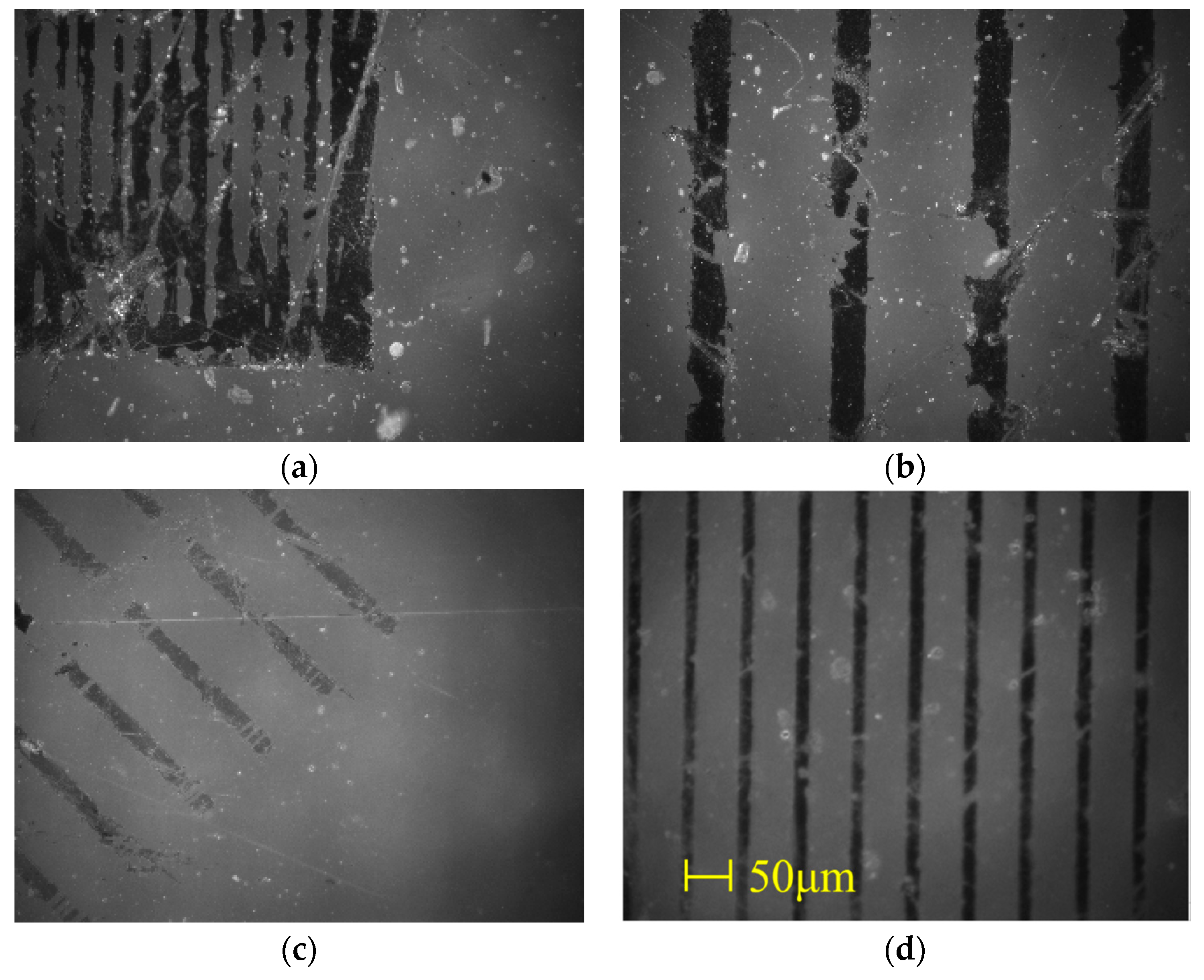 Coatings 10 00885 g008