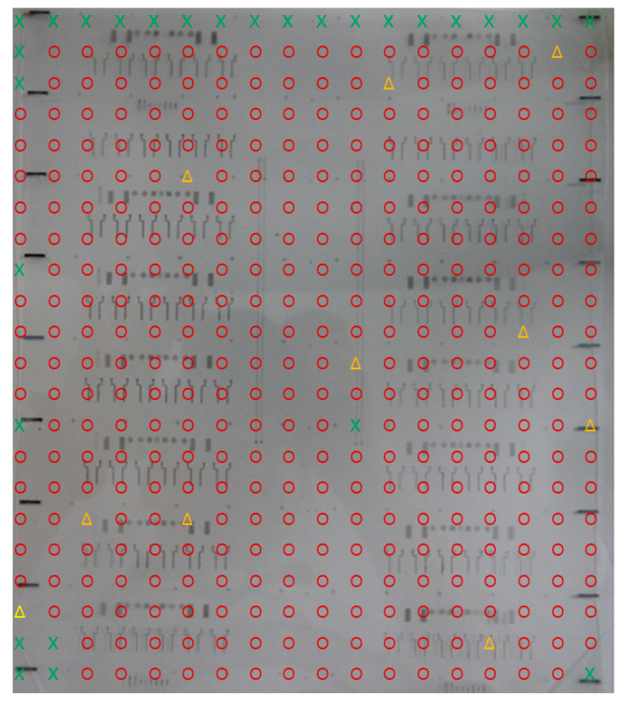 Coatings 10 00885 g009
