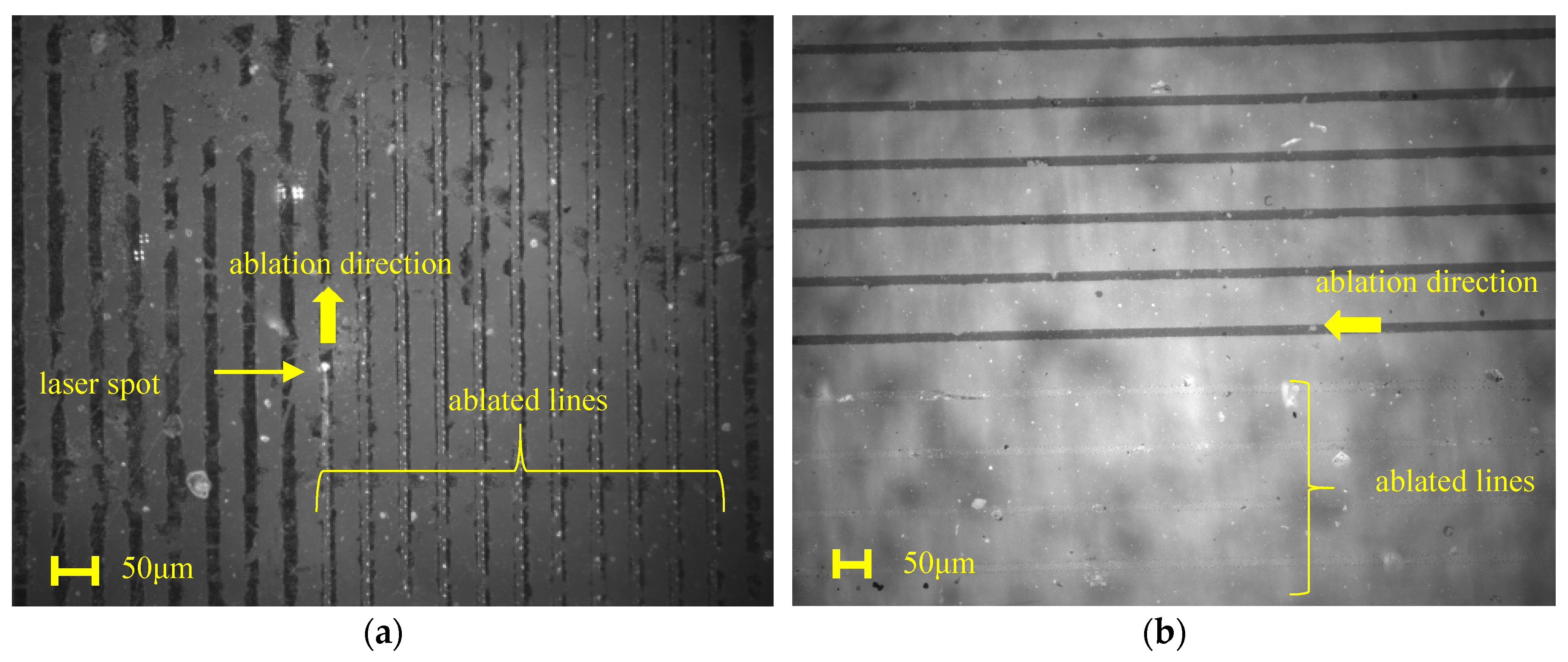 Coatings 10 00885 g010