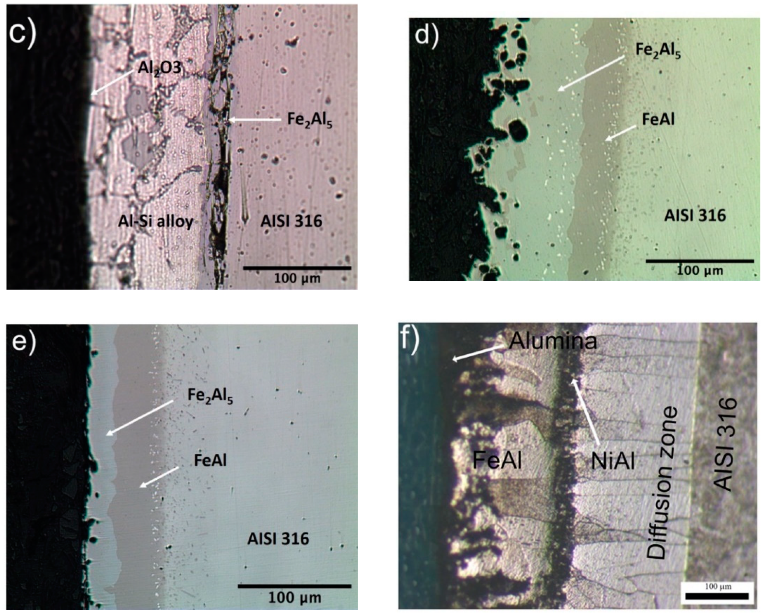 Coatings 10 00888 g001b Coatings 10 00888 g001b