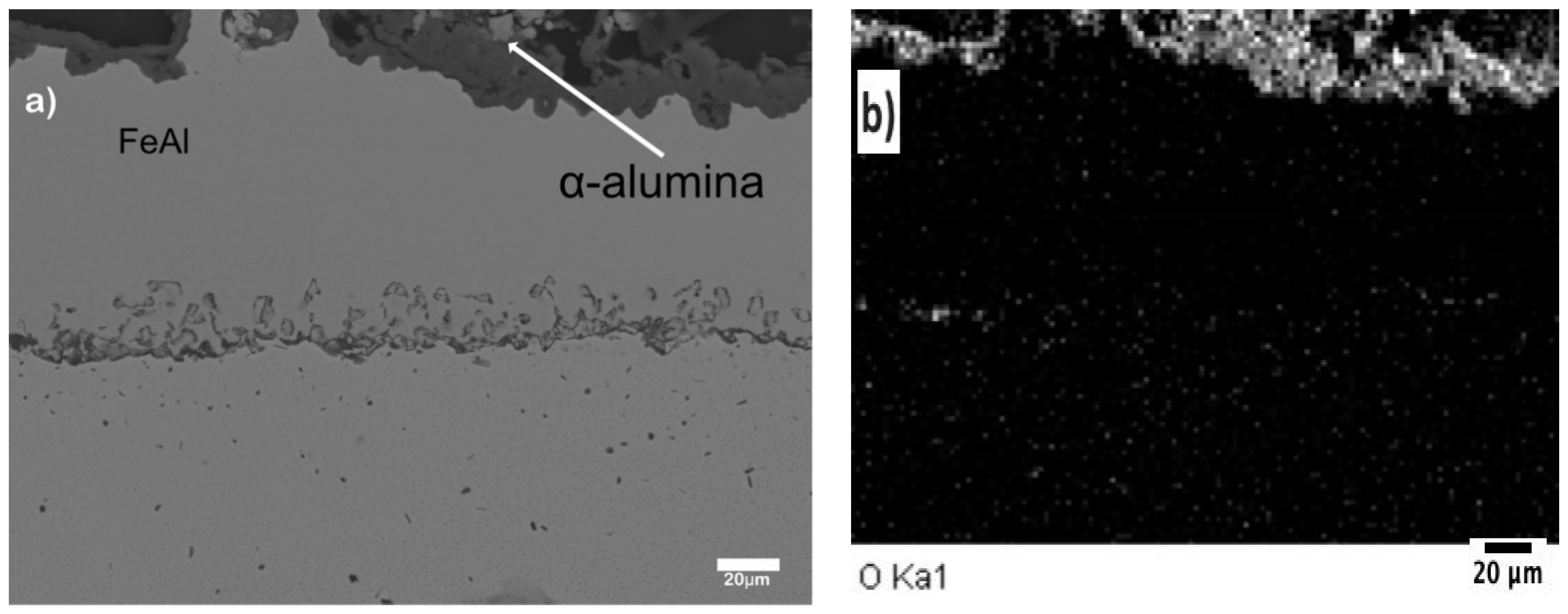 Coatings 10 00888 g004 Coatings 10 00888 g004