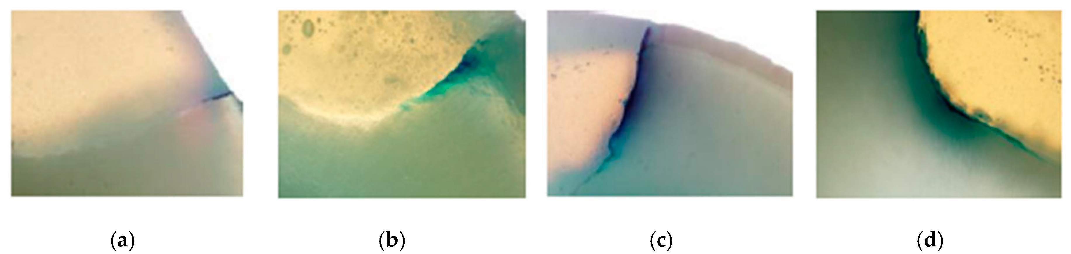 Coatings 10 00891 g004 Coatings 10 00891 g004