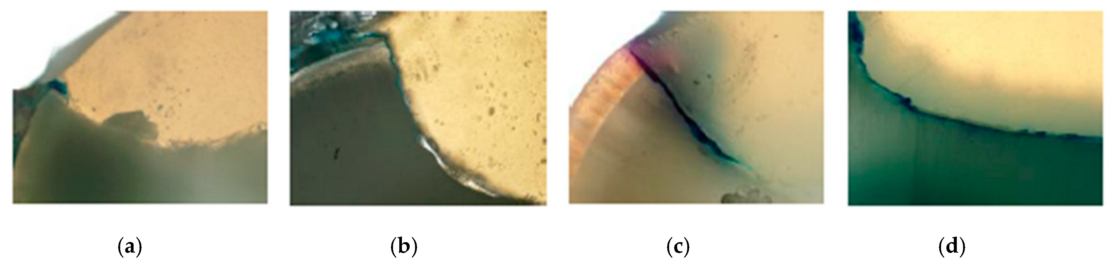 Coatings 10 00891 g005 Coatings 10 00891 g005