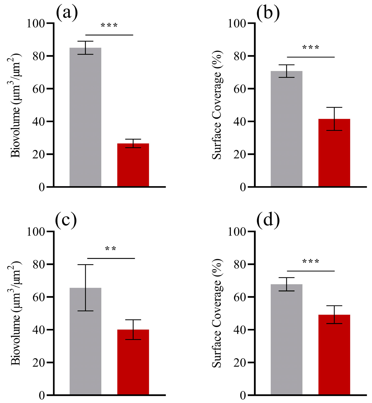 Coatings 10 00893 g005 Coatings 10 00893 g005