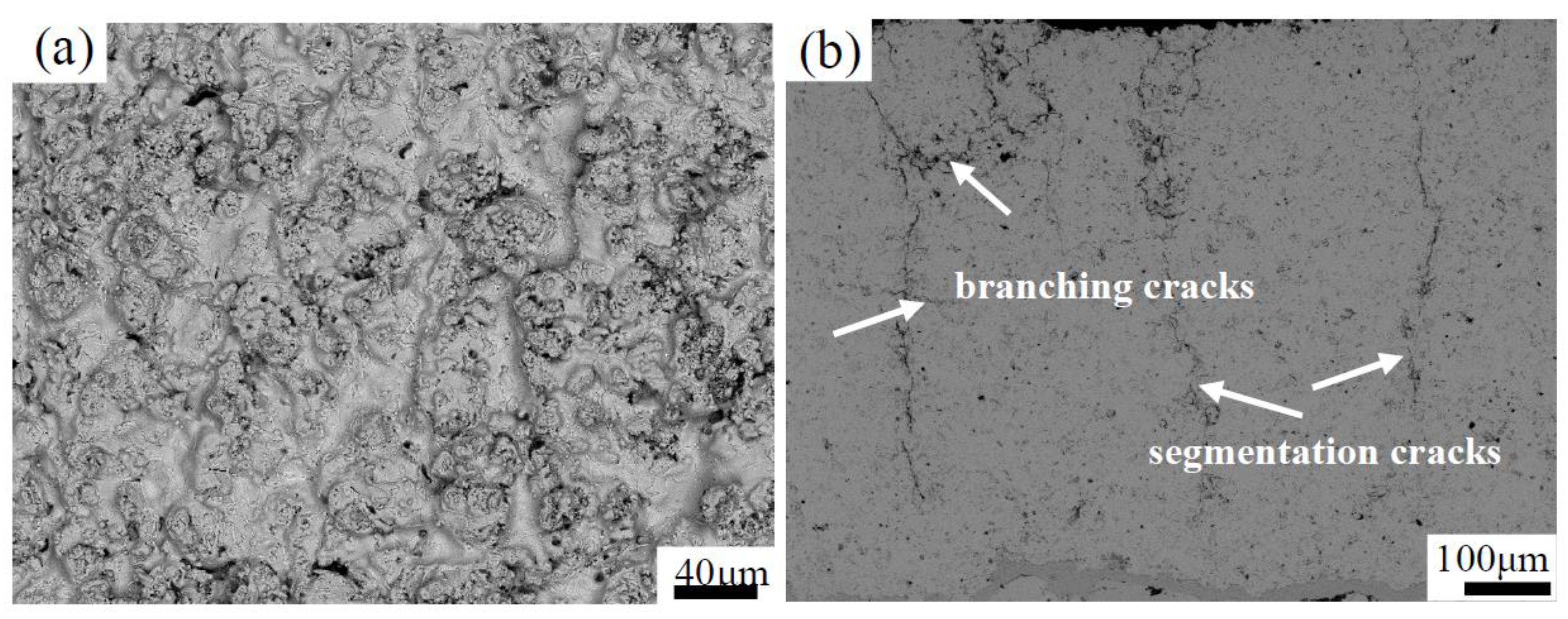Coatings 10 00894 g004 Coatings 10 00894 g004