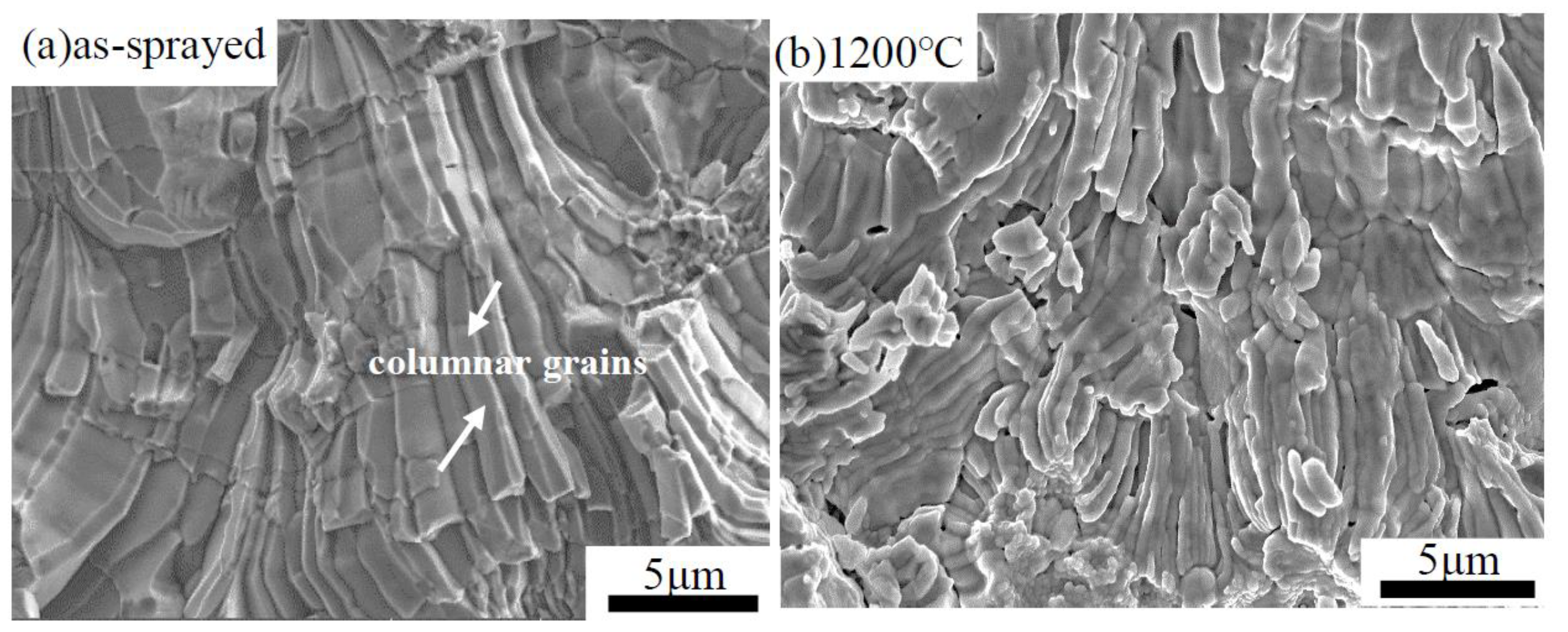 Coatings 10 00894 g006a Coatings 10 00894 g006a
