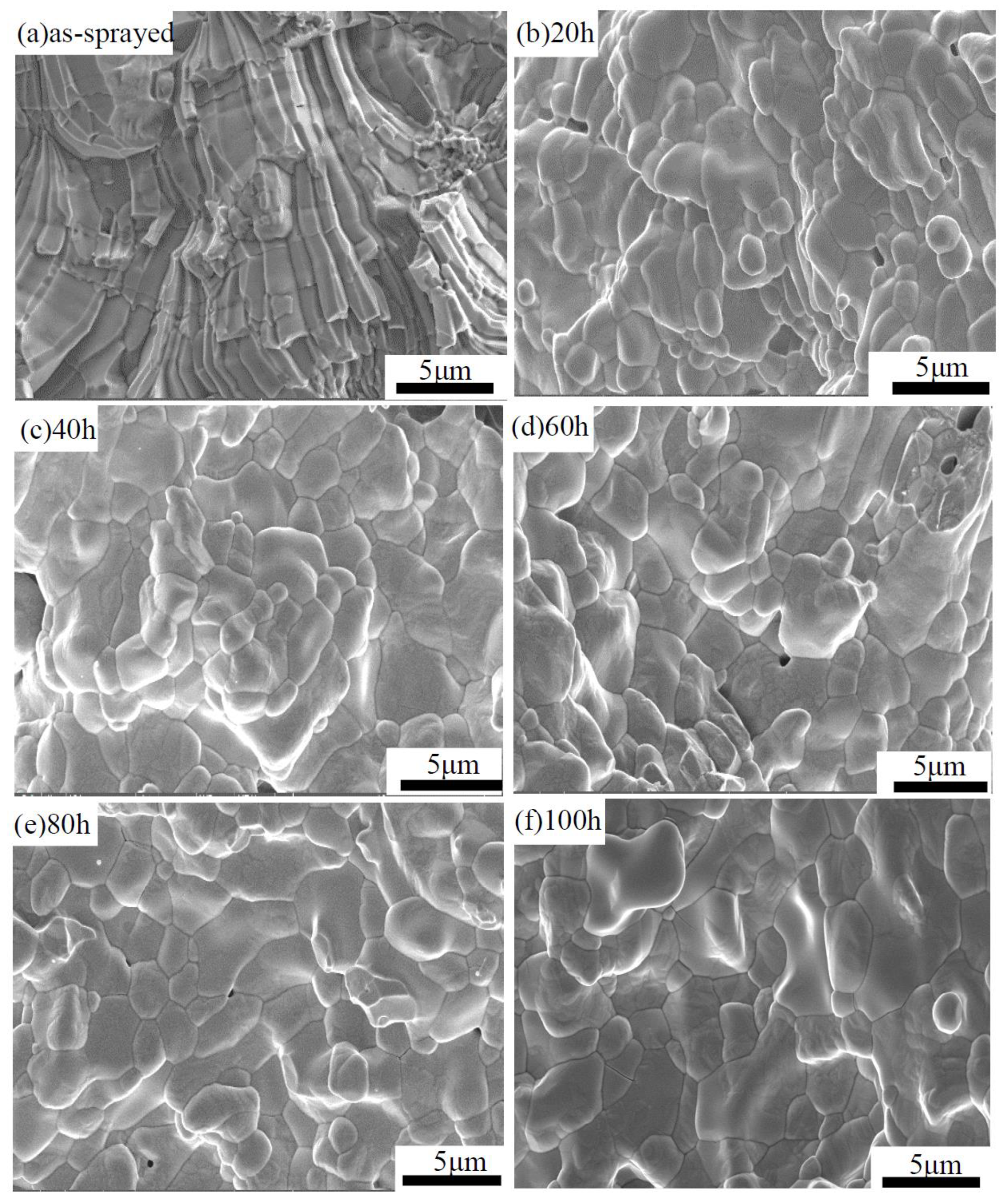 Coatings 10 00894 g007 Coatings 10 00894 g007