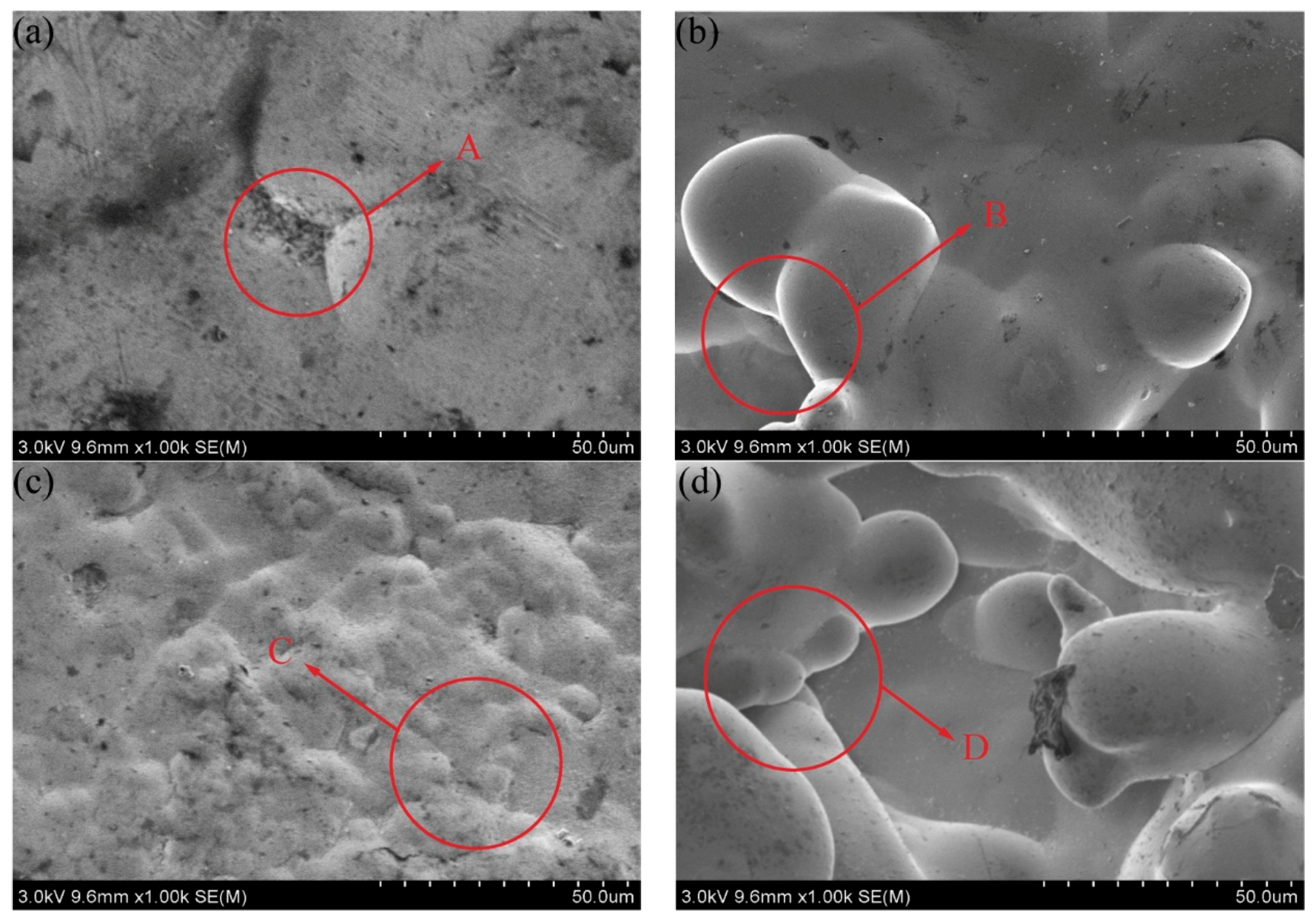 Coatings 10 00895 g004 Coatings 10 00895 g004