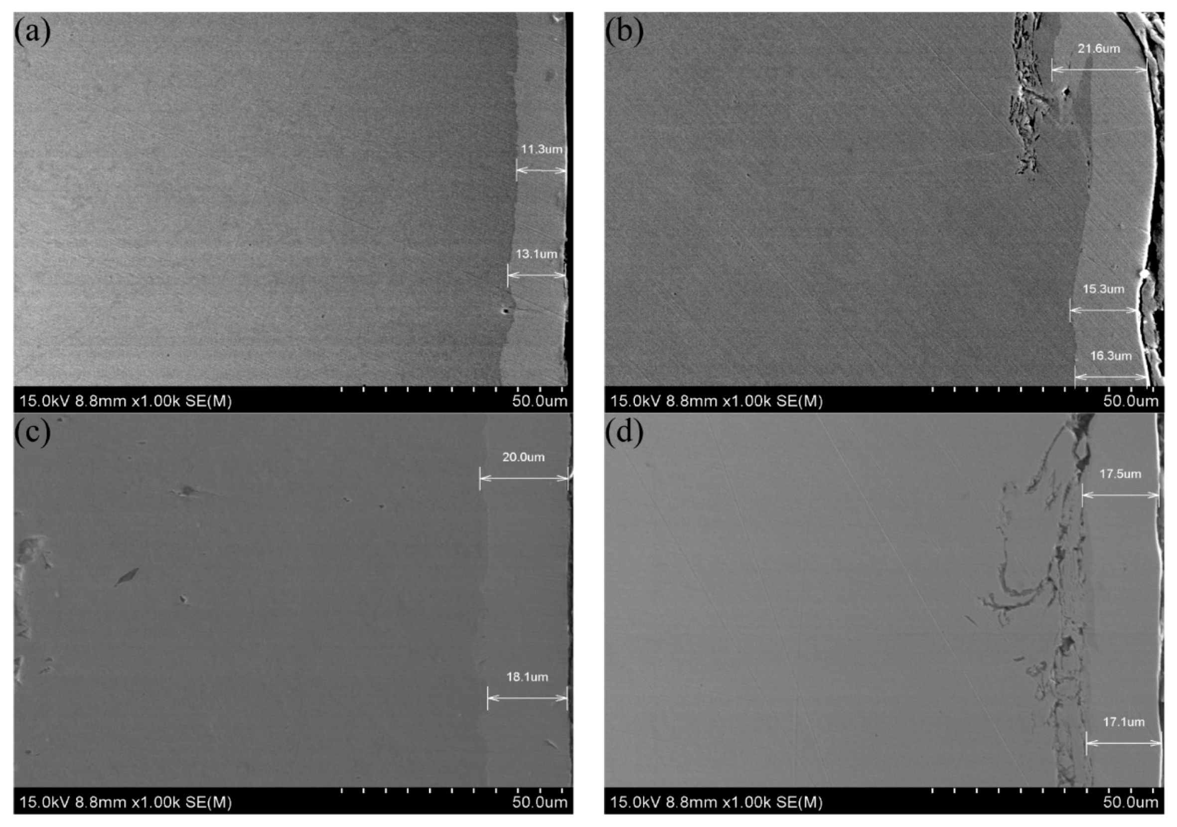 Coatings 10 00895 g005 Coatings 10 00895 g005