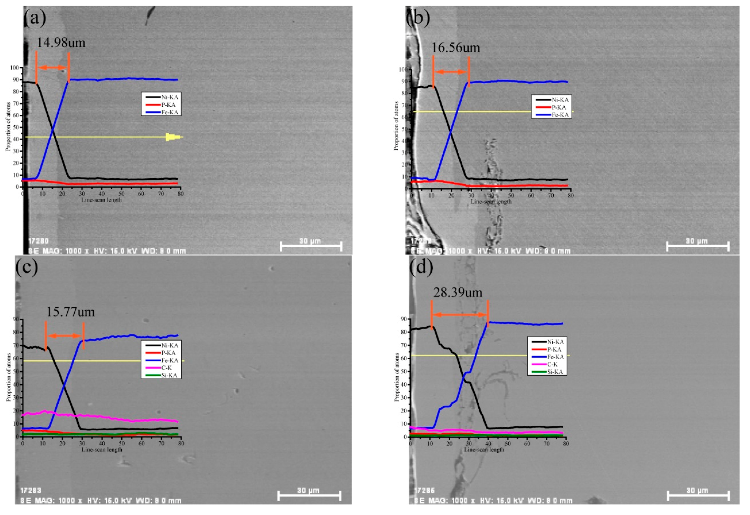 Coatings 10 00895 g006 Coatings 10 00895 g006
