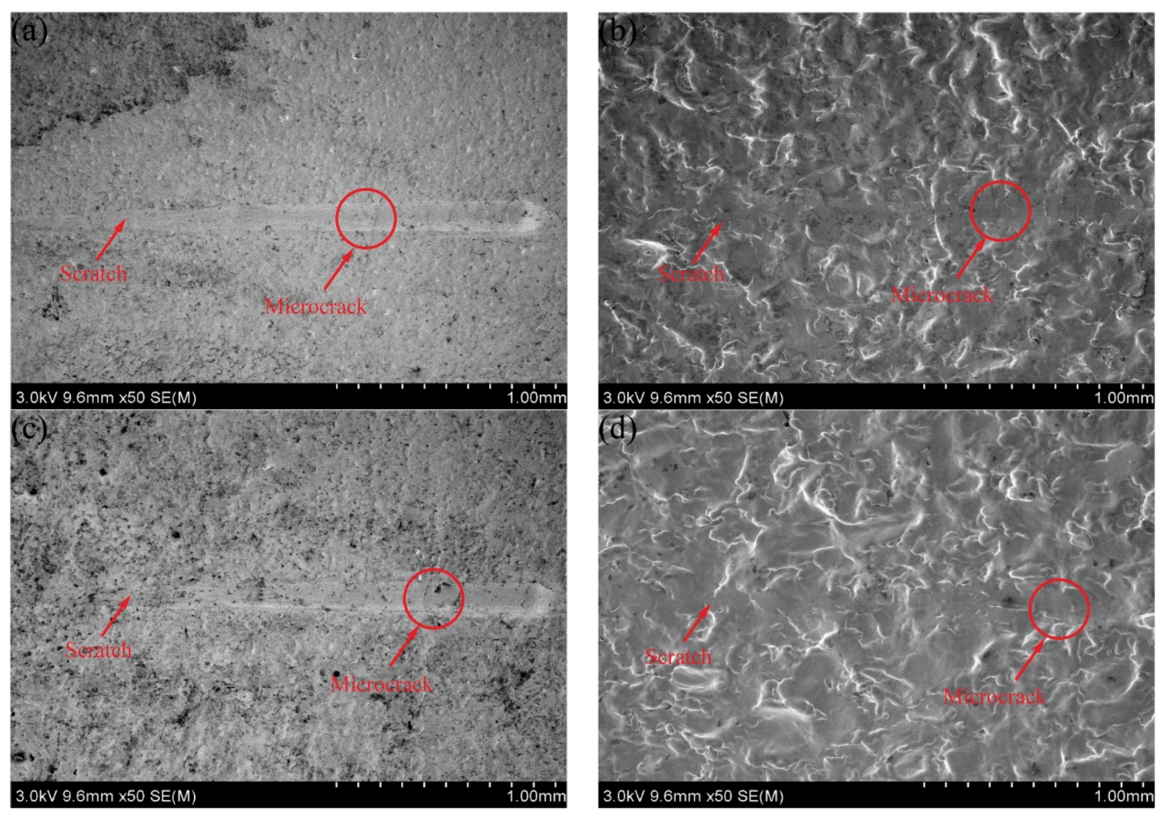 Coatings 10 00895 g008 Coatings 10 00895 g008