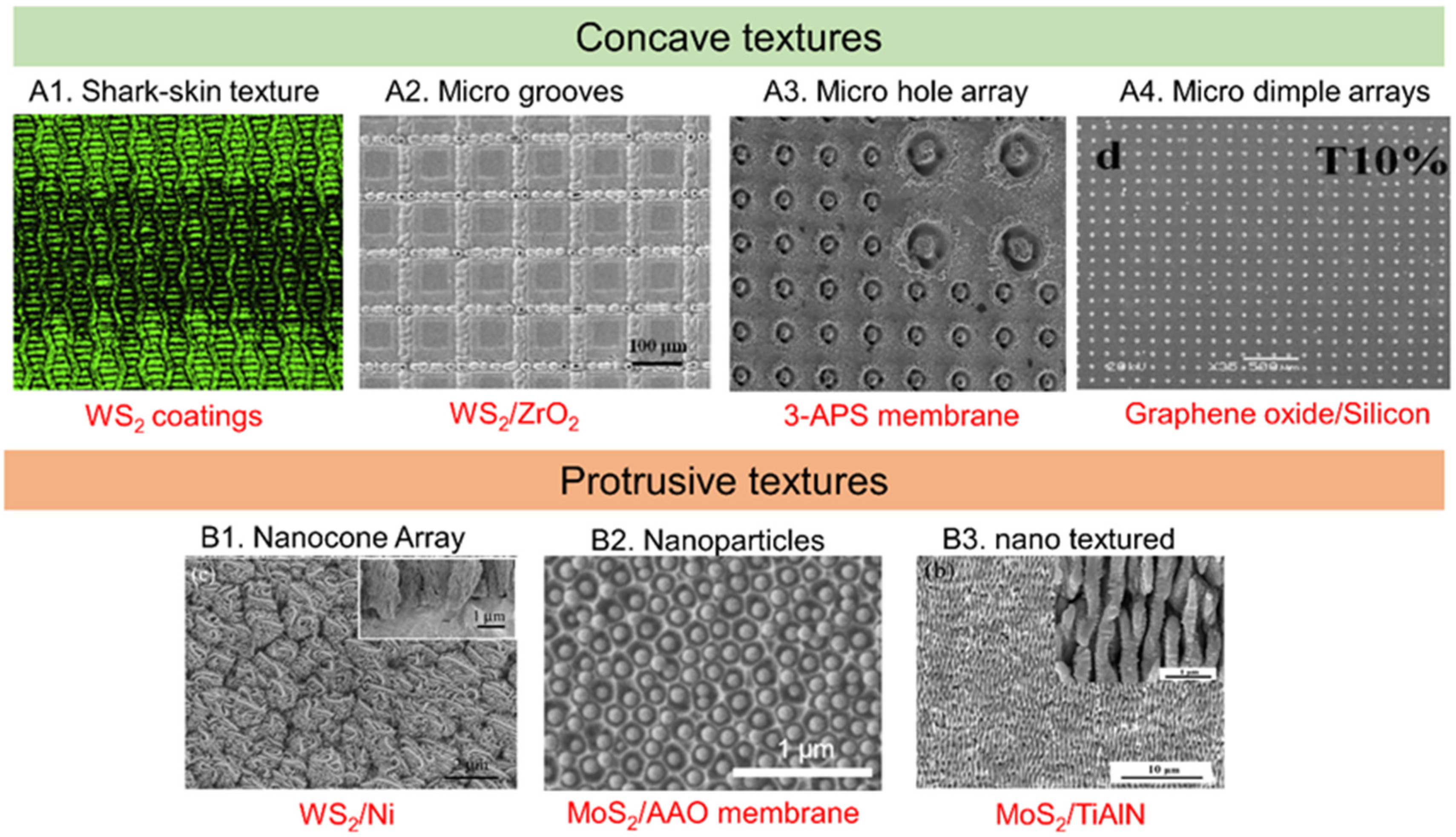 Coatings 10 00897 g013 Coatings 10 00897 g013