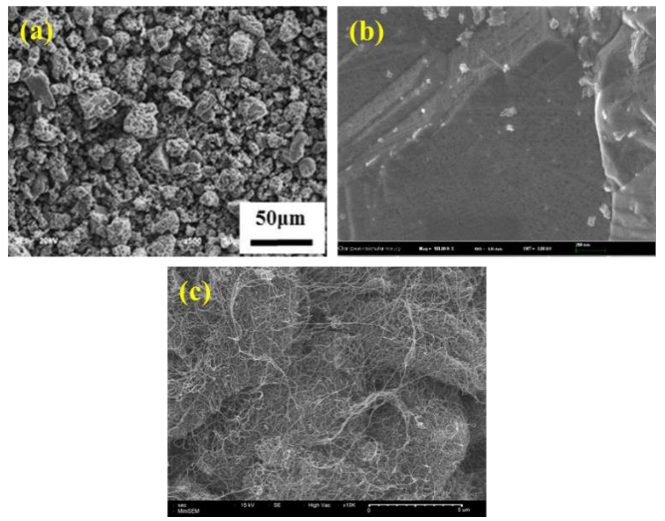 Coatings 10 00898 g001 Coatings 10 00898 g001