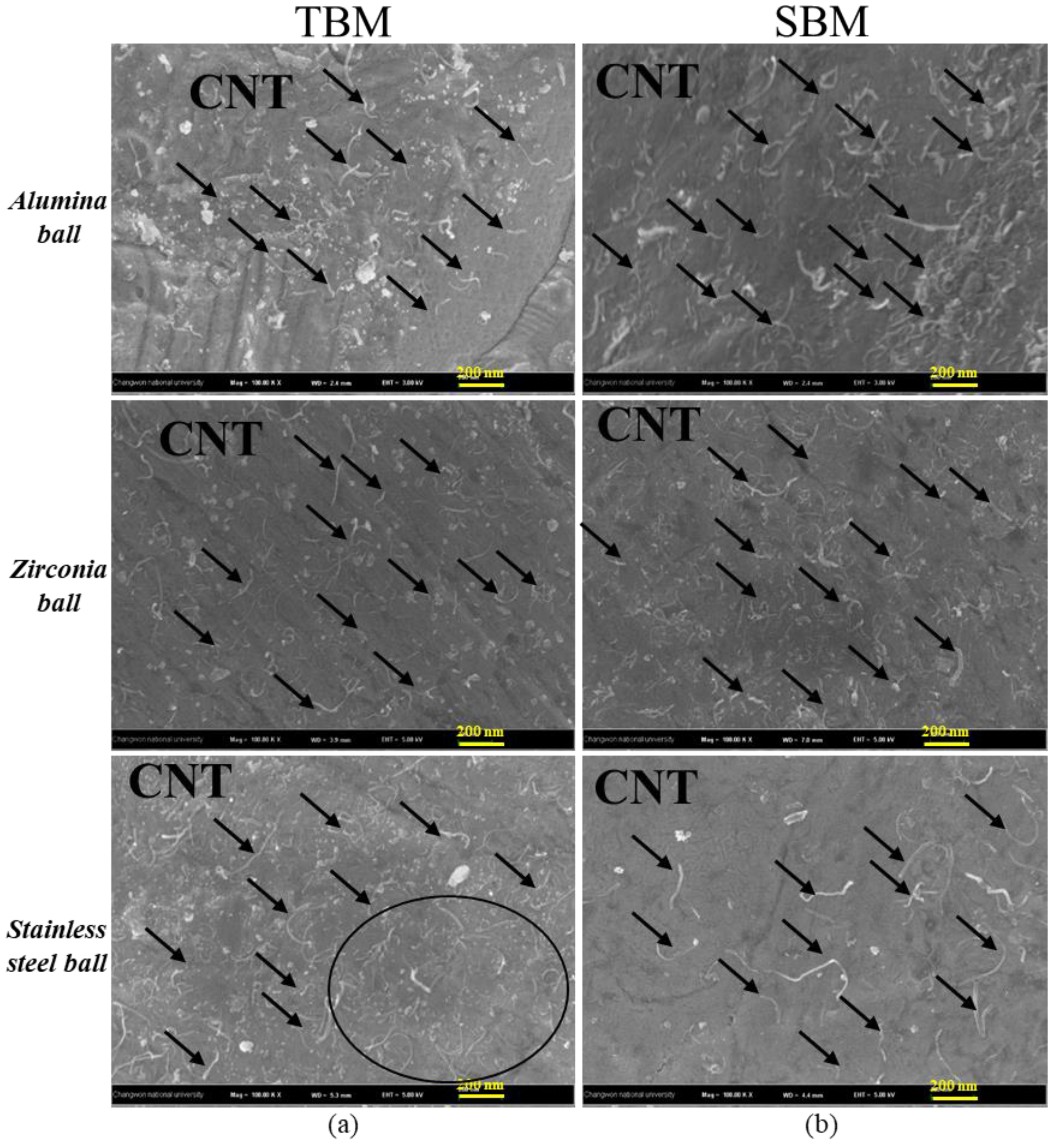 Coatings 10 00898 g006 Coatings 10 00898 g006