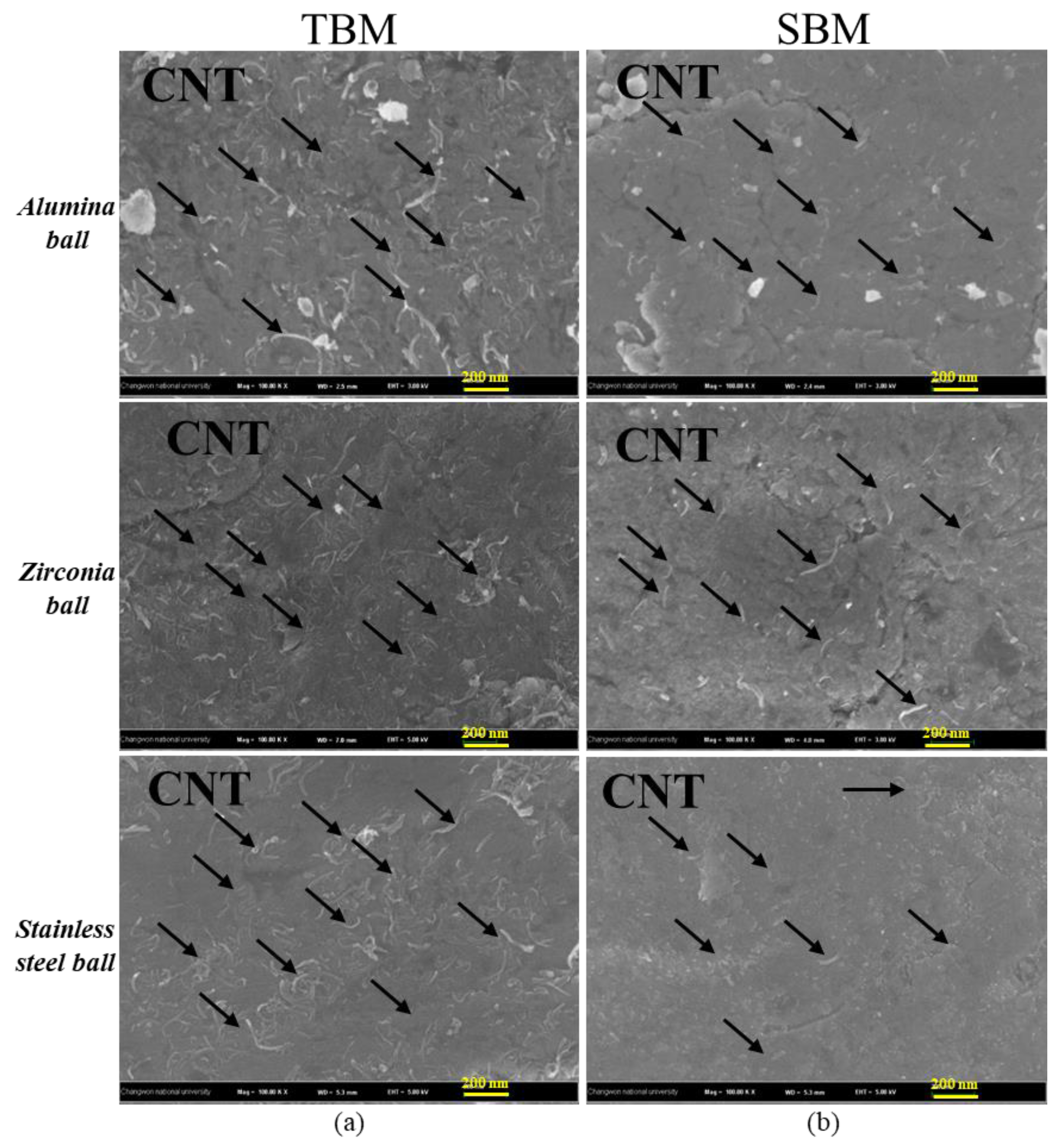 Coatings 10 00898 g009 Coatings 10 00898 g009