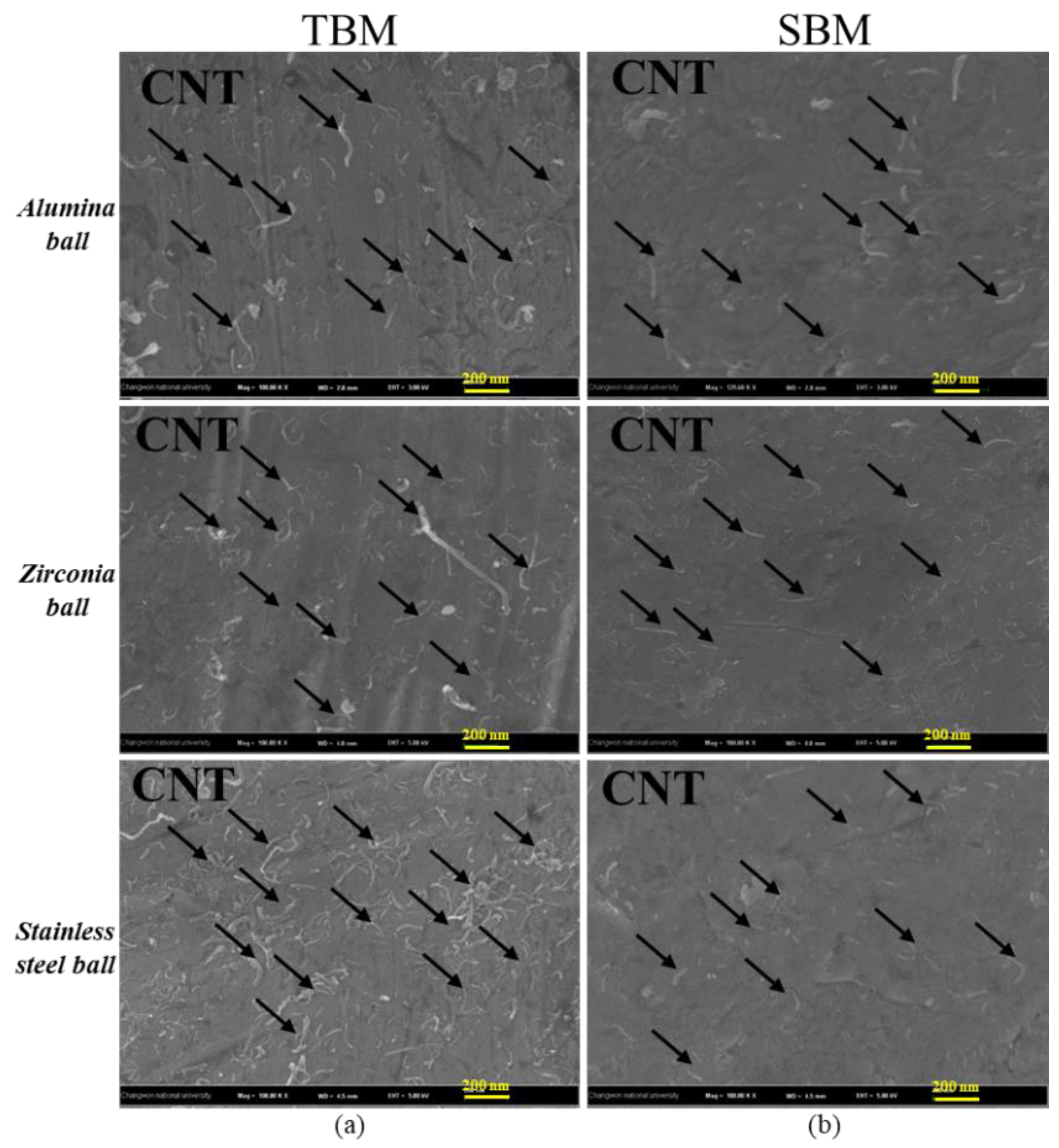 Coatings 10 00898 g010 Coatings 10 00898 g010