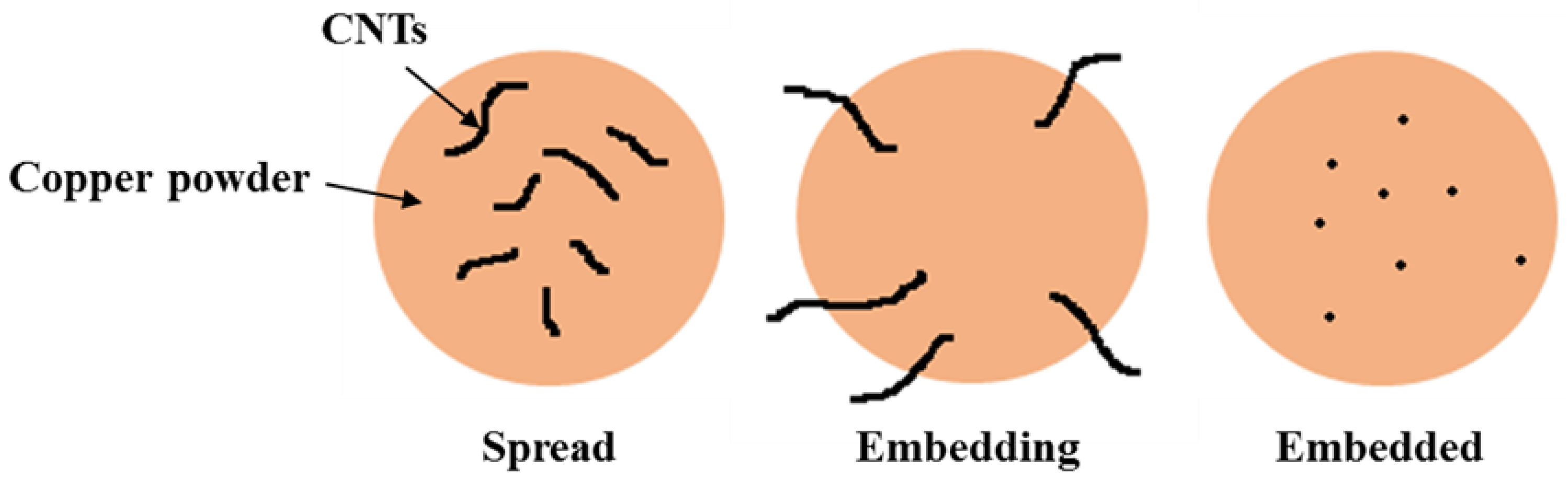 Coatings 10 00898 g012 Coatings 10 00898 g012