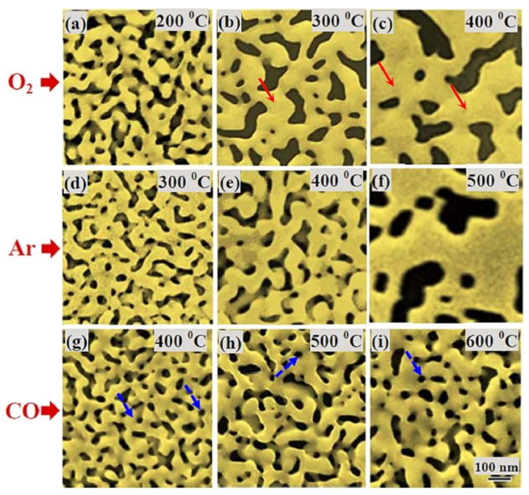 Coatings 10 00899 g007