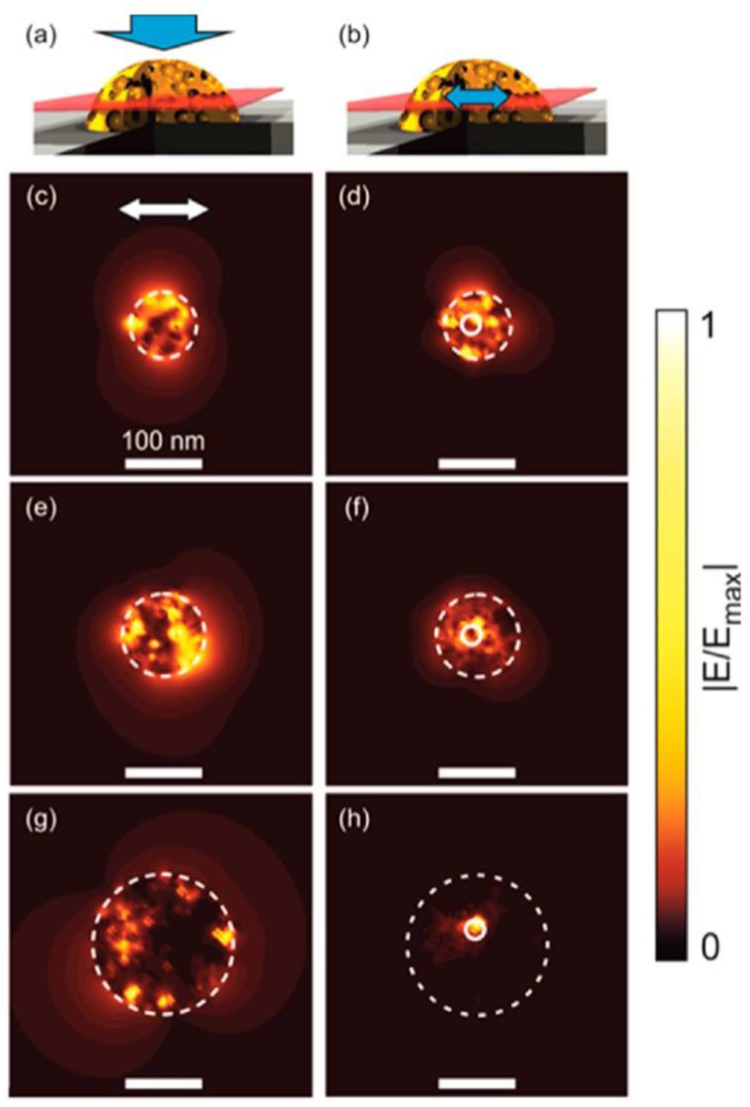 Coatings 10 00899 g045