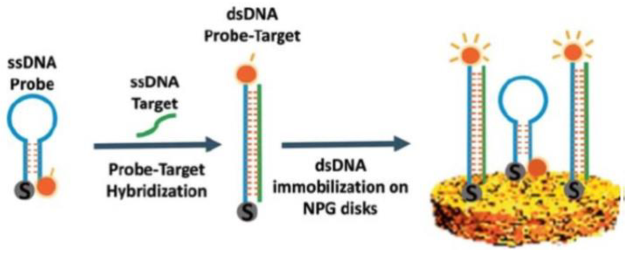 Coatings 10 00899 g046
