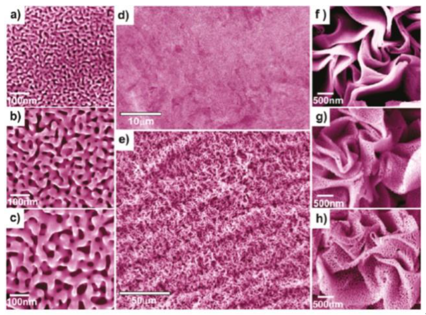 Coatings 10 00899 g049