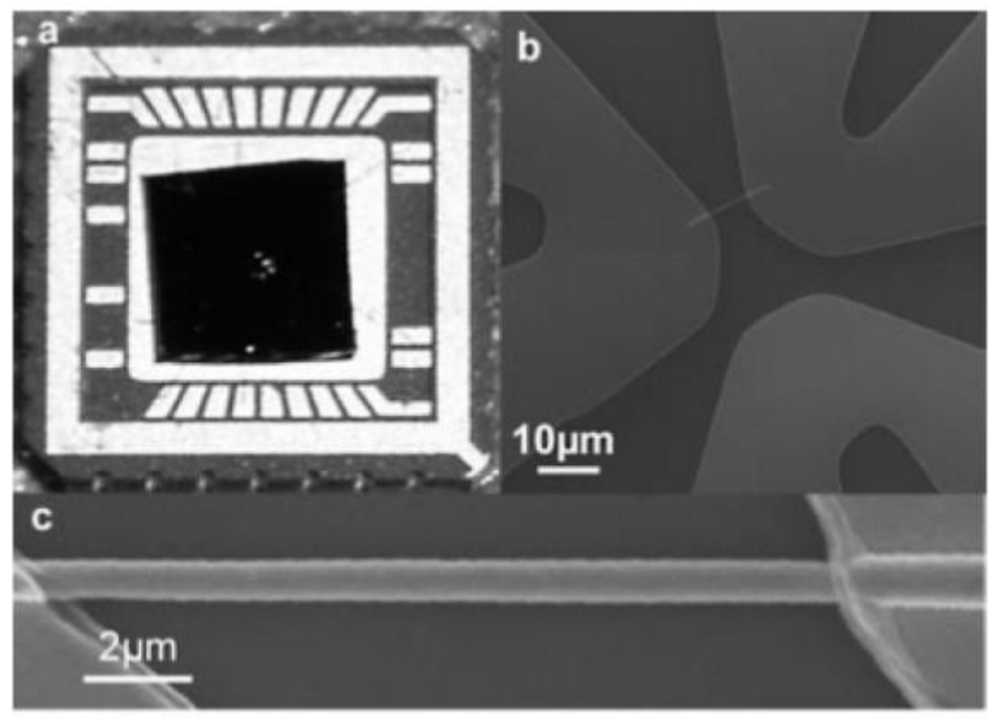 Coatings 10 00899 g052