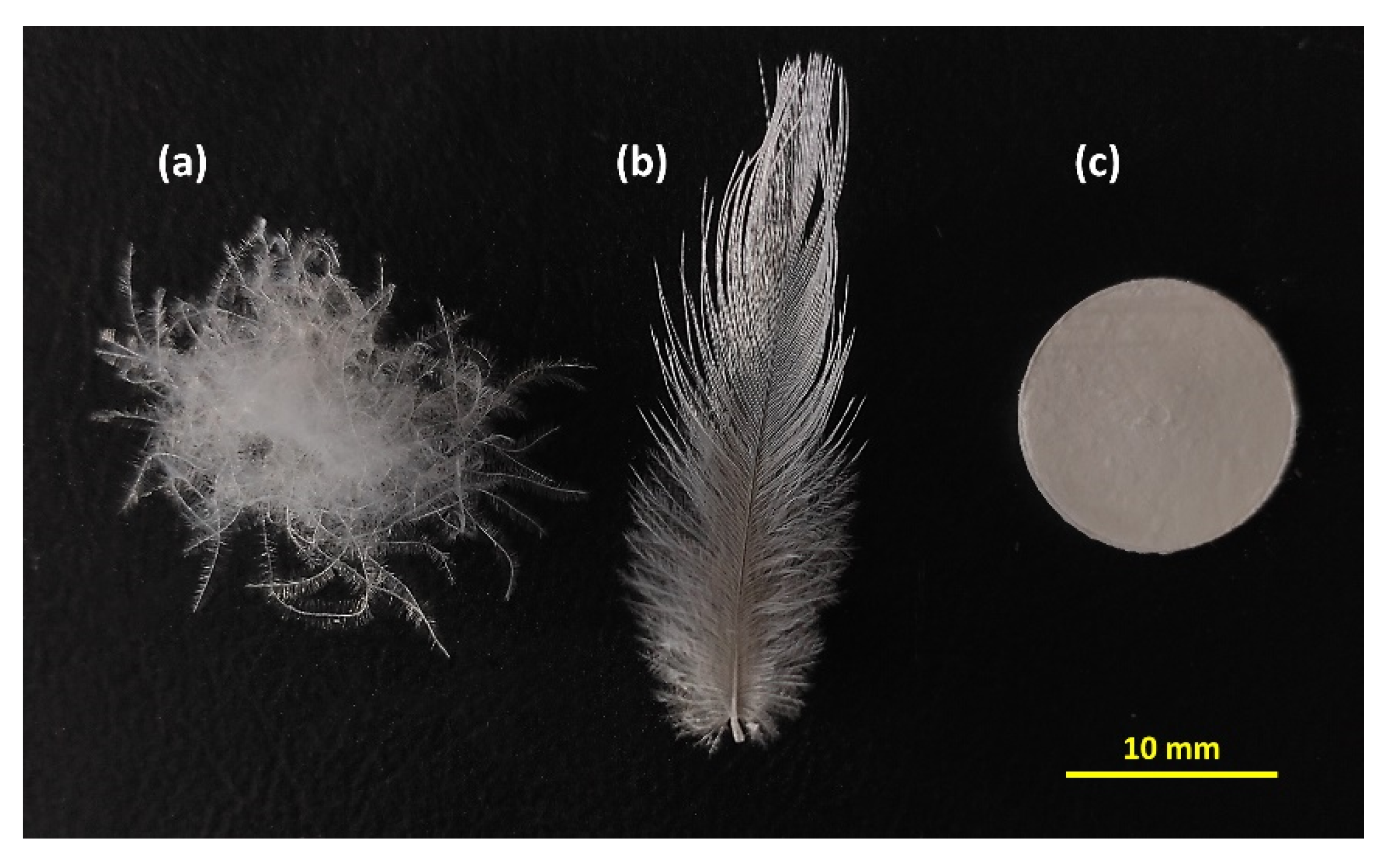 Coatings 10 00904 g001 Coatings 10 00904 g001