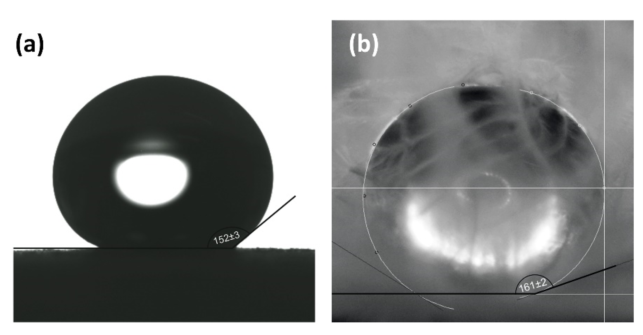 Coatings 10 00904 g002 Coatings 10 00904 g002