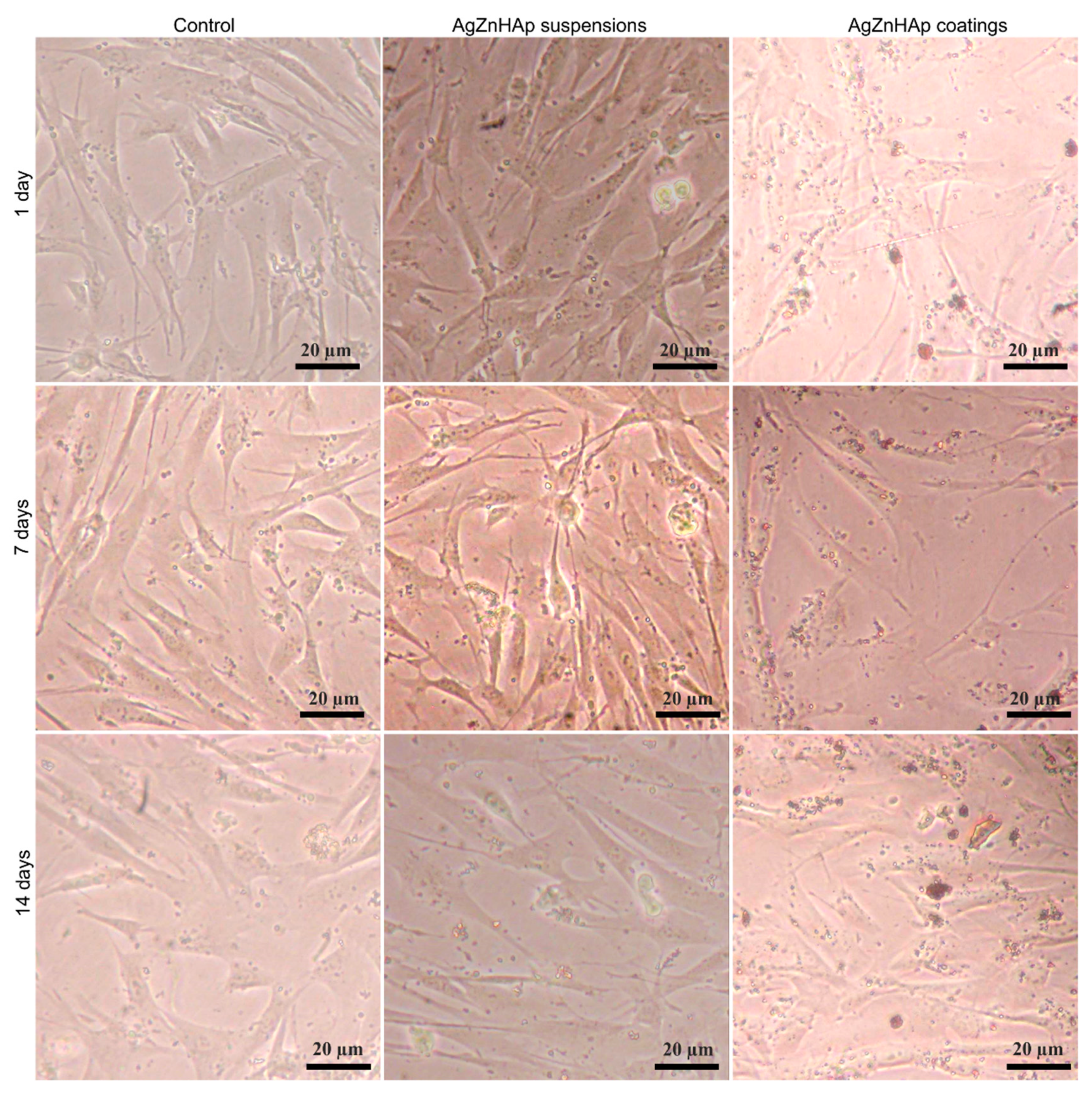 Coatings 10 00905 g009