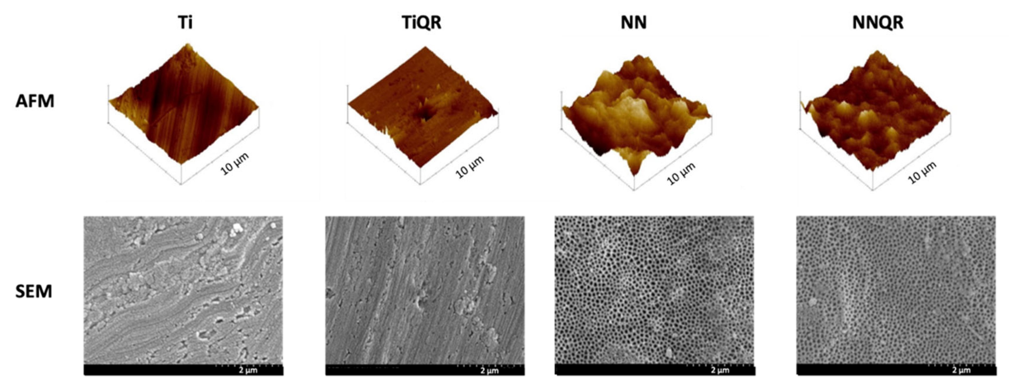 Coatings 10 00907 g001