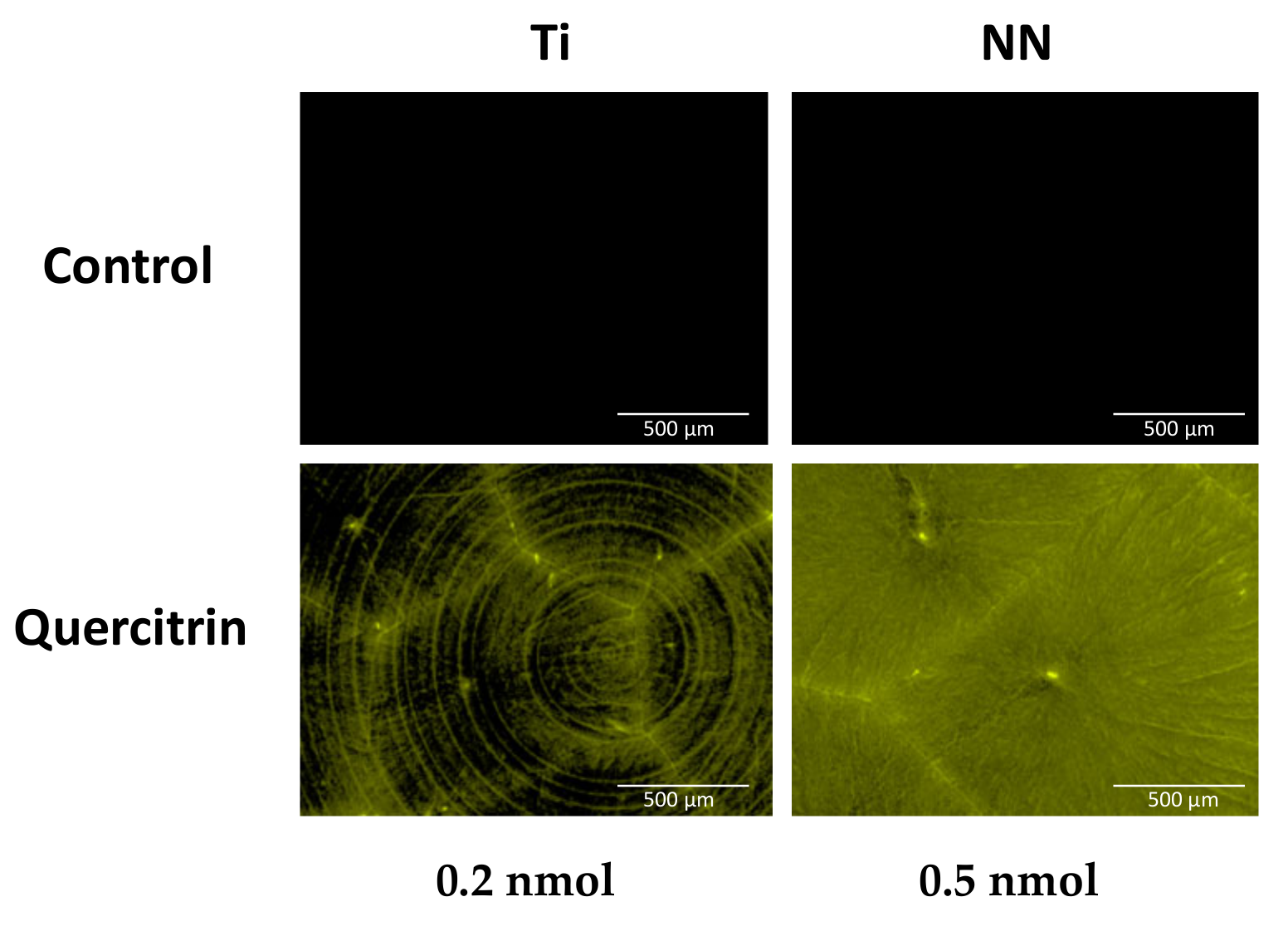 Coatings 10 00907 g002