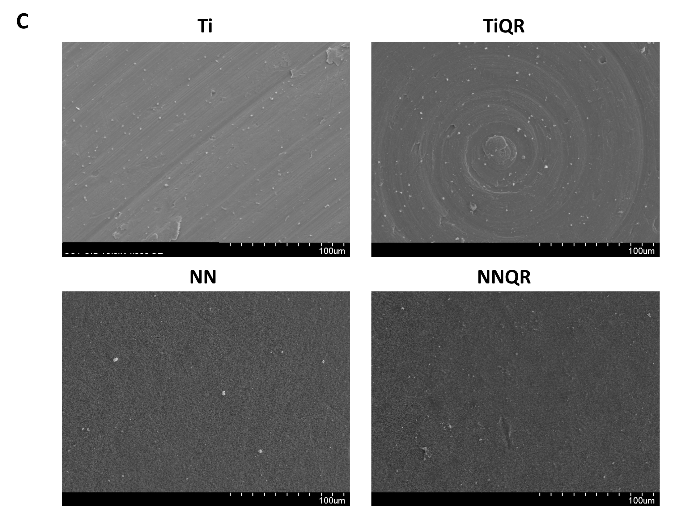 Coatings 10 00907 g005b