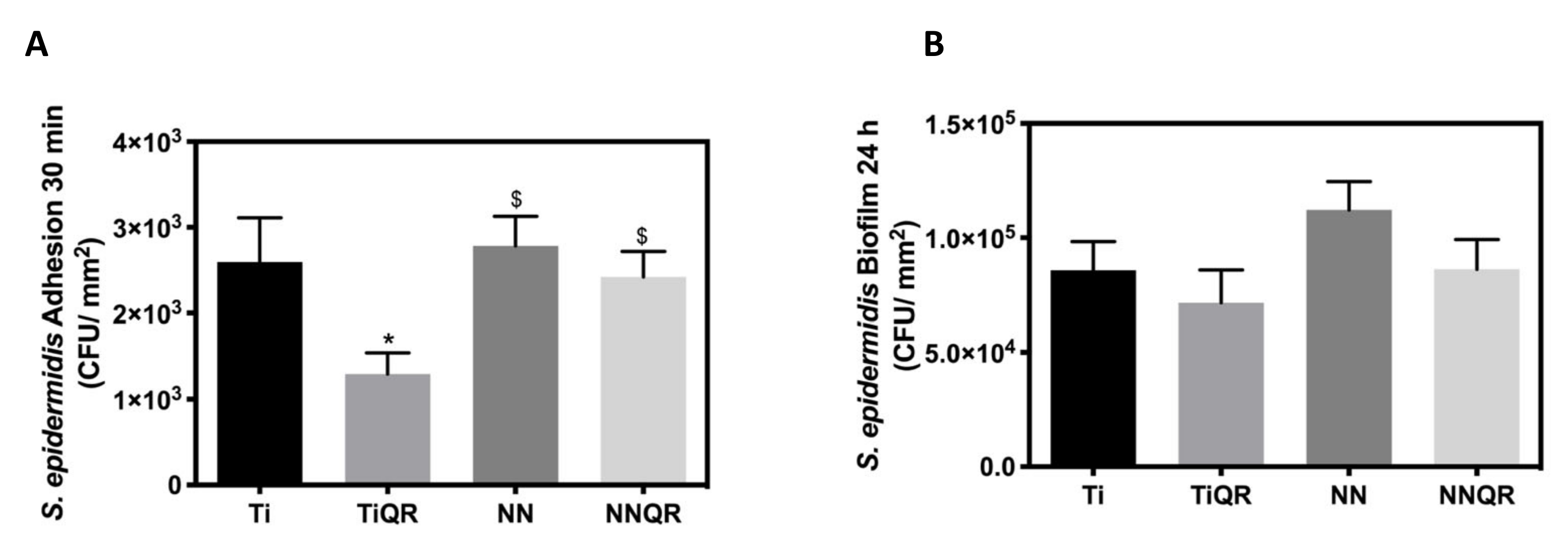 Coatings 10 00907 g006
