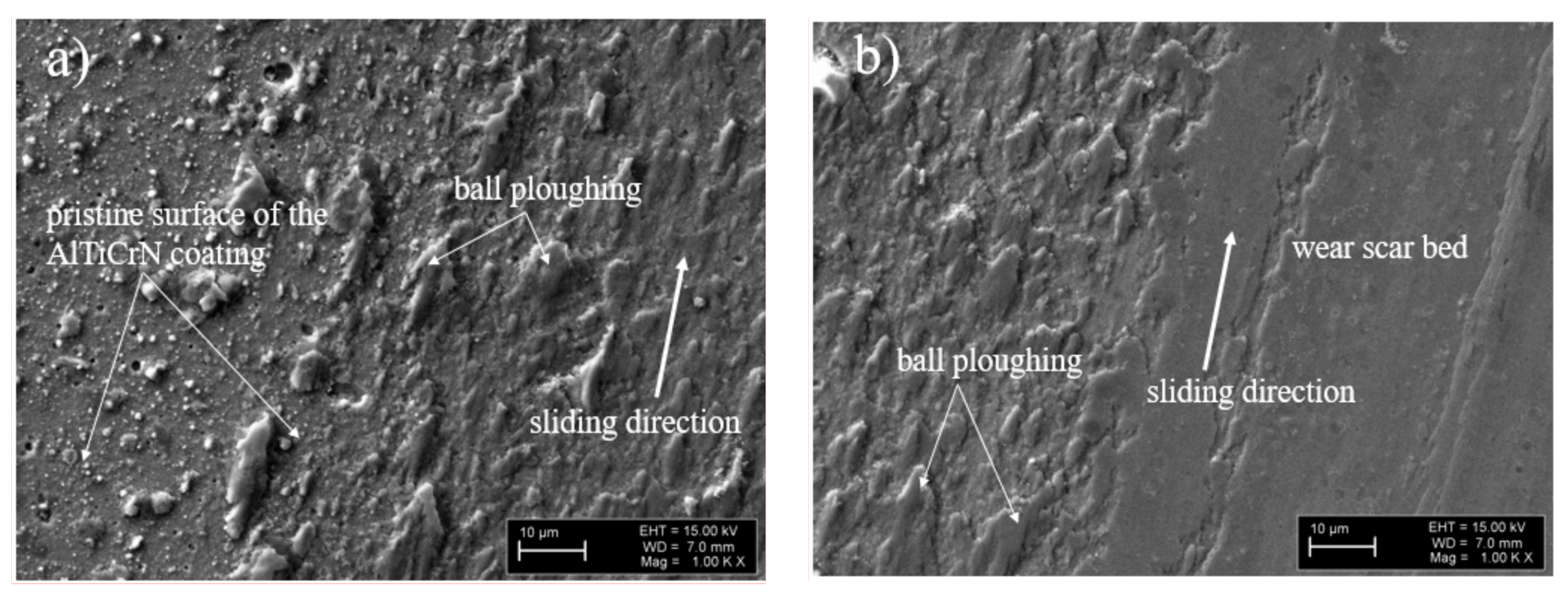 Coatings 10 00909 g004a