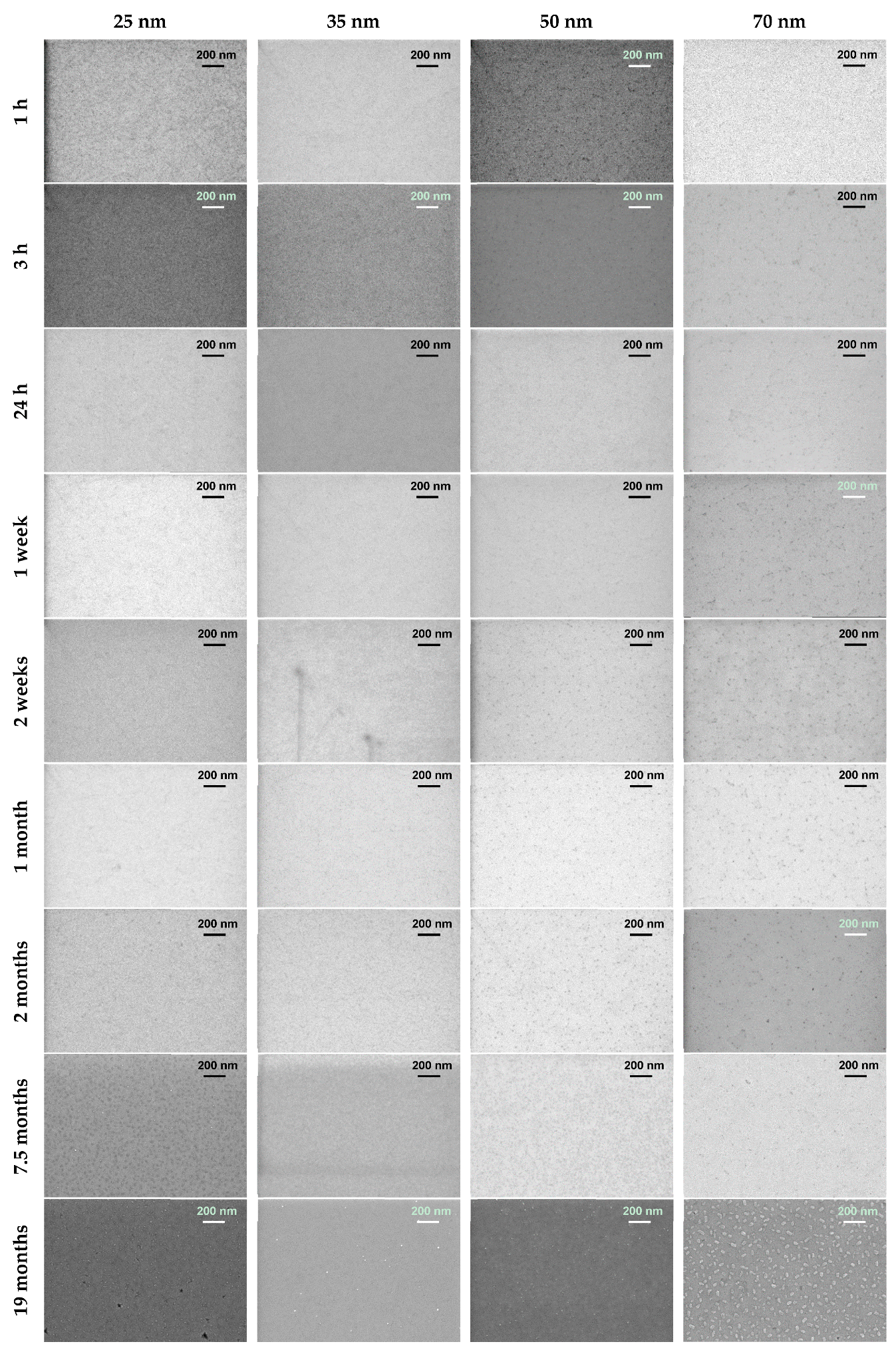 Coatings 10 00911 g002