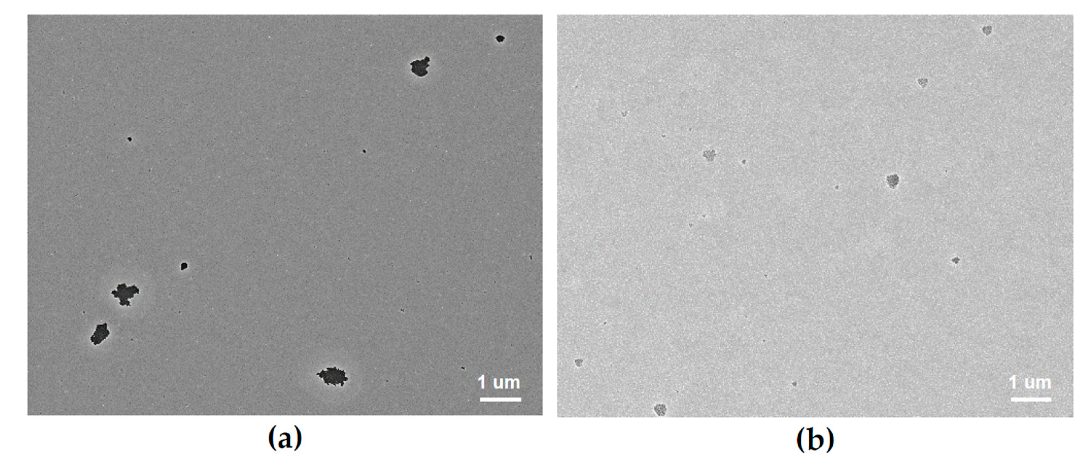 Coatings 10 00911 g003