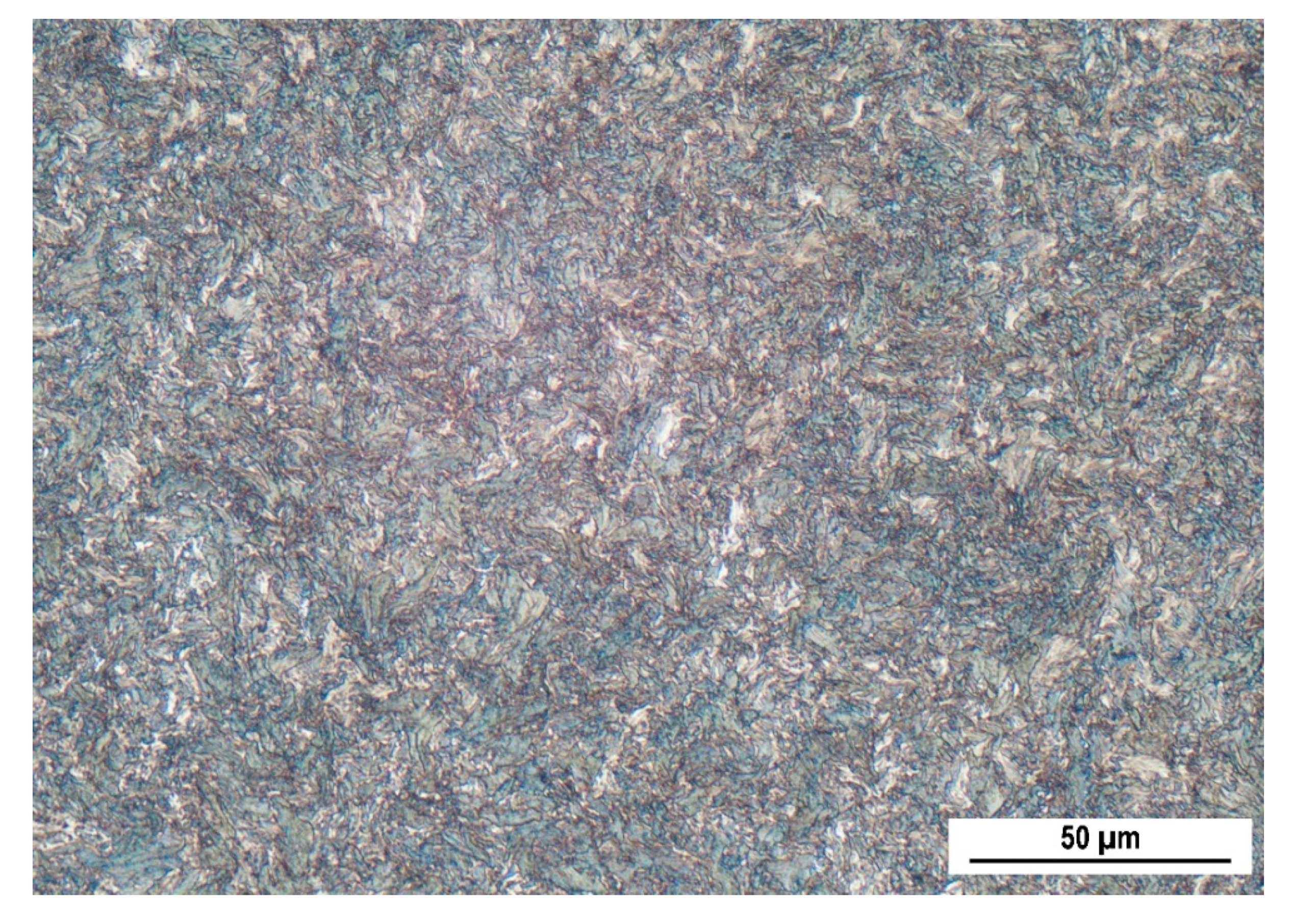 Coatings 10 00912 g001