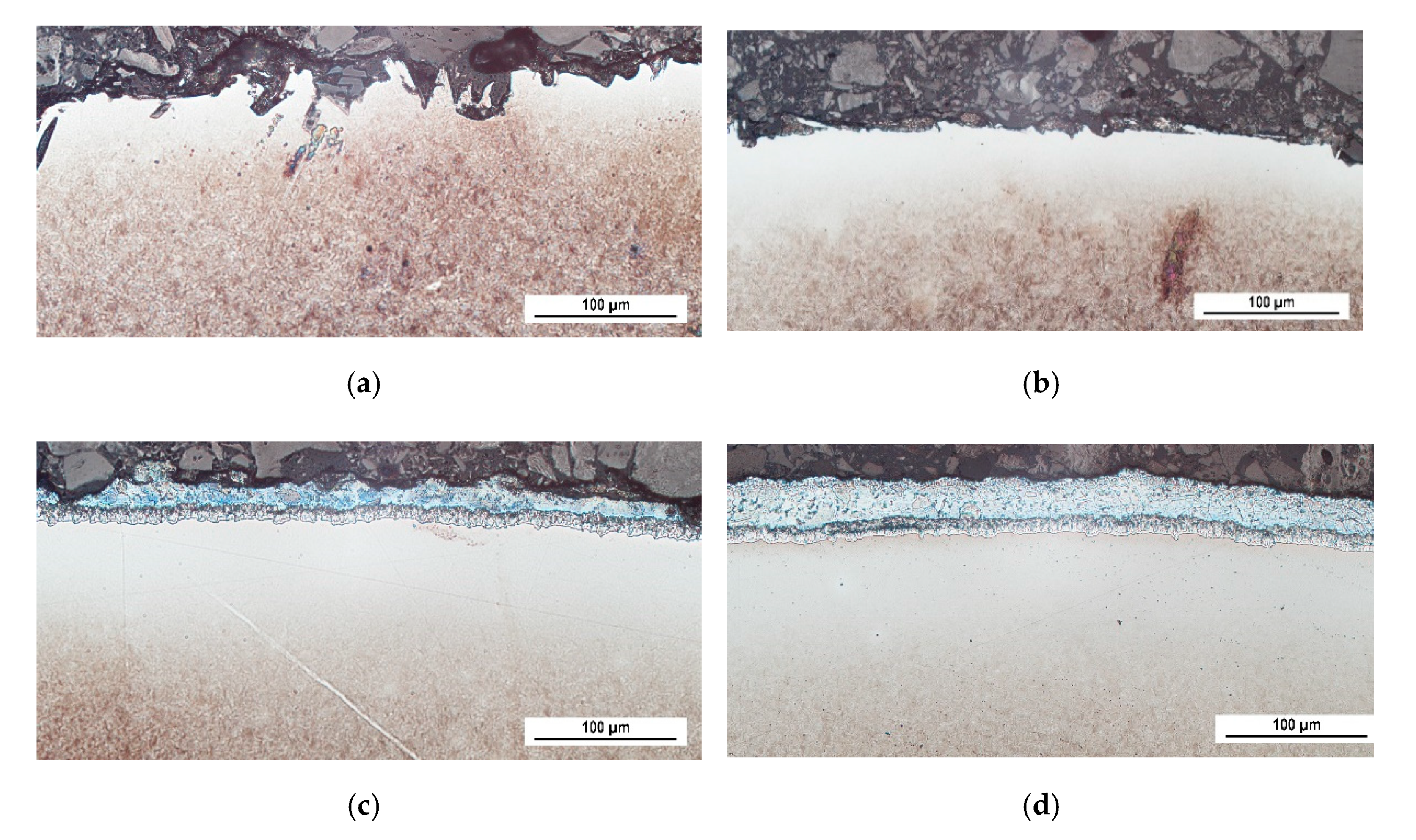 Coatings 10 00912 g004