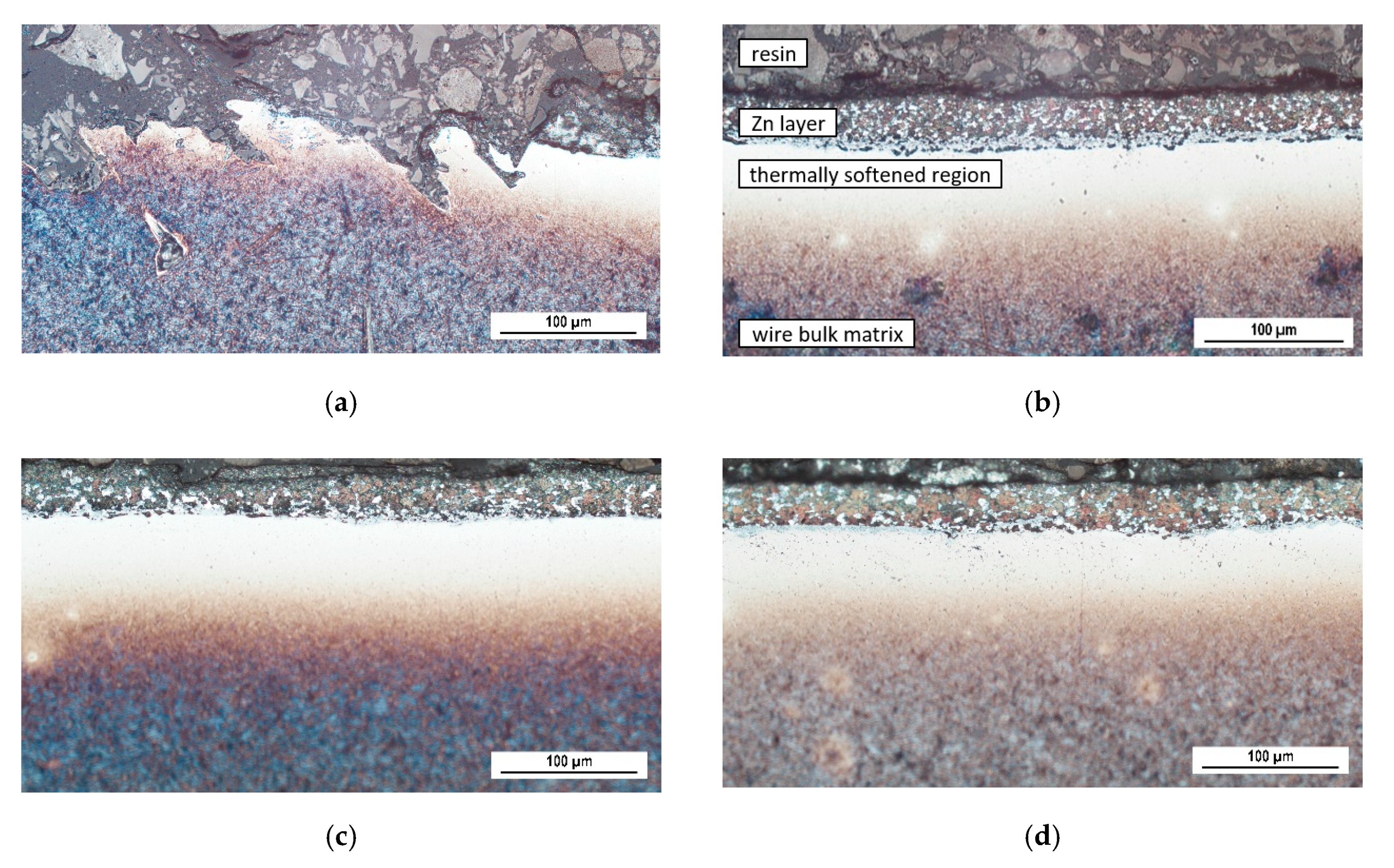 Coatings 10 00912 g005
